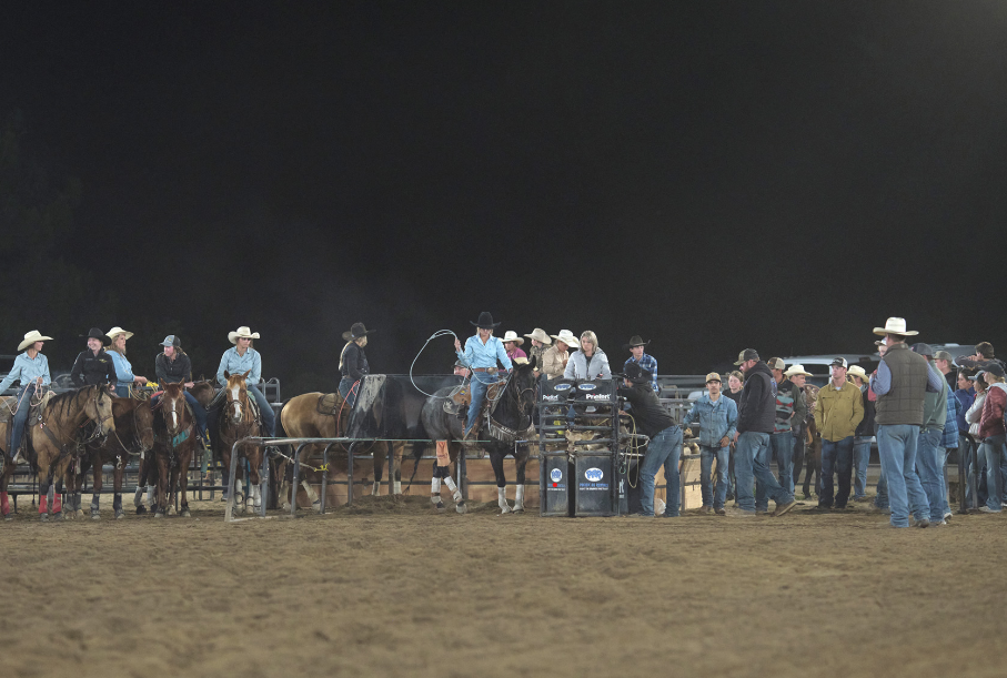 Team Roping Joe Day The Power of Community: A Deep Dive into the Average Joe Finals โ Full ...