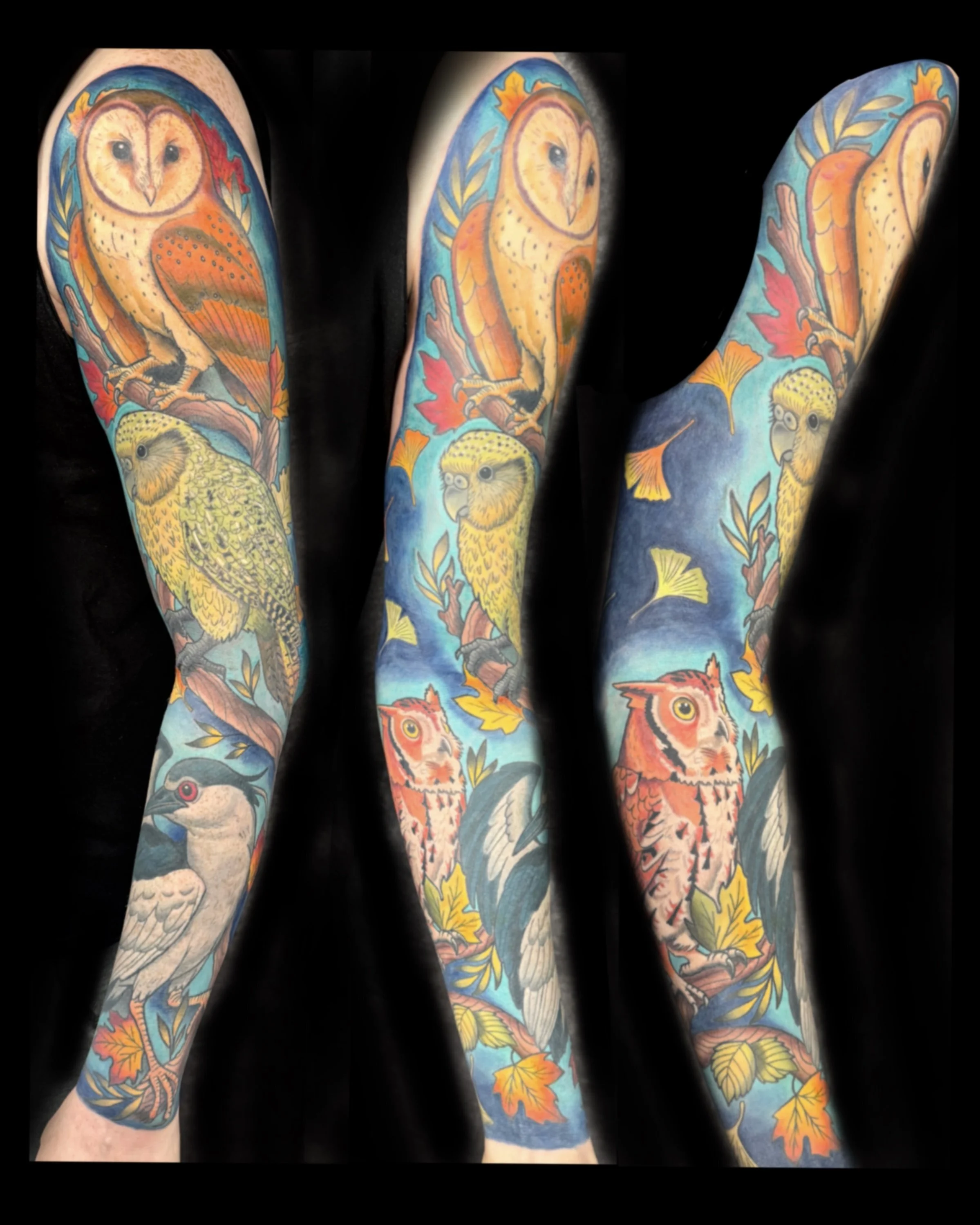 Bird Sleeve Tryptych.jpg