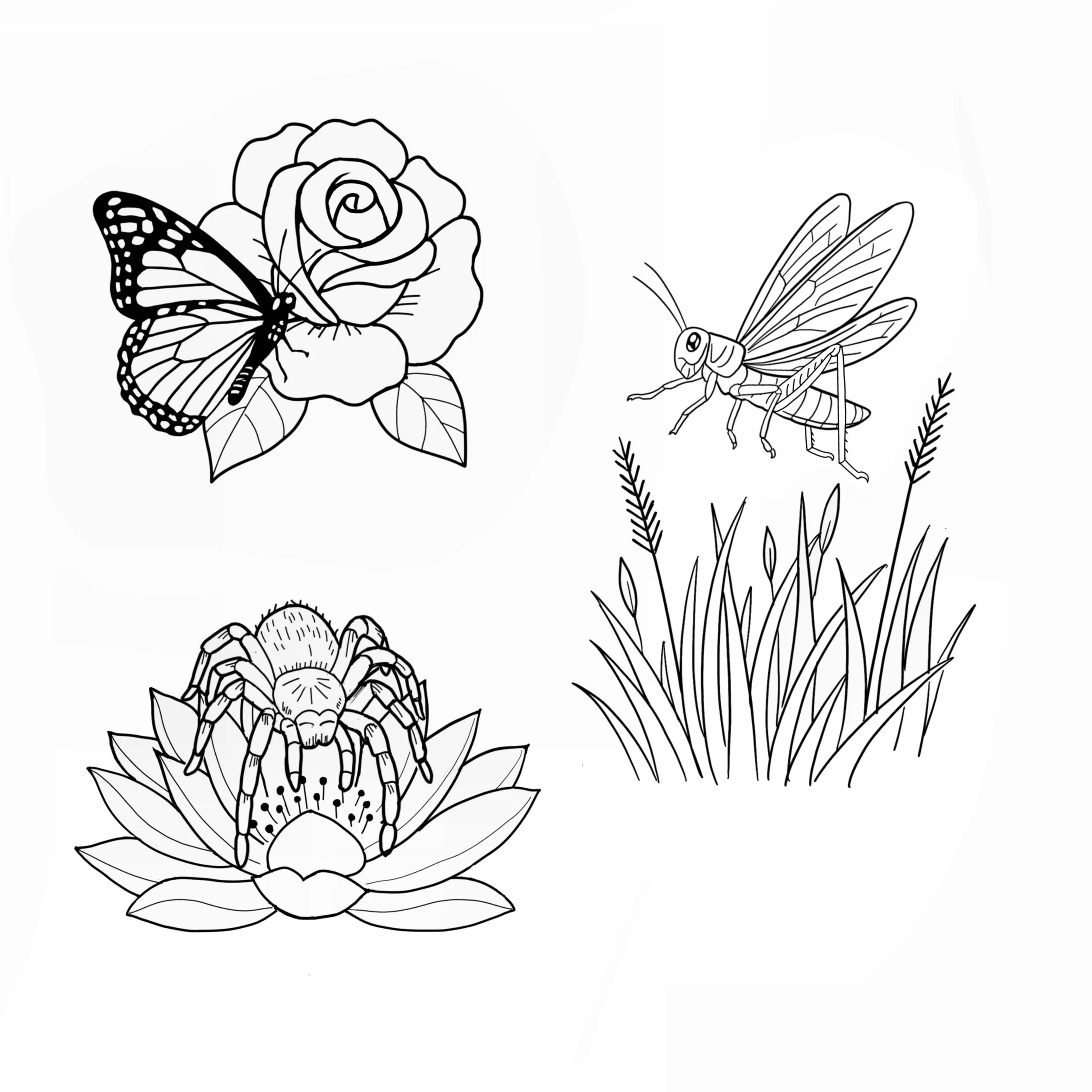 Untitled_Artwork 362.jpg