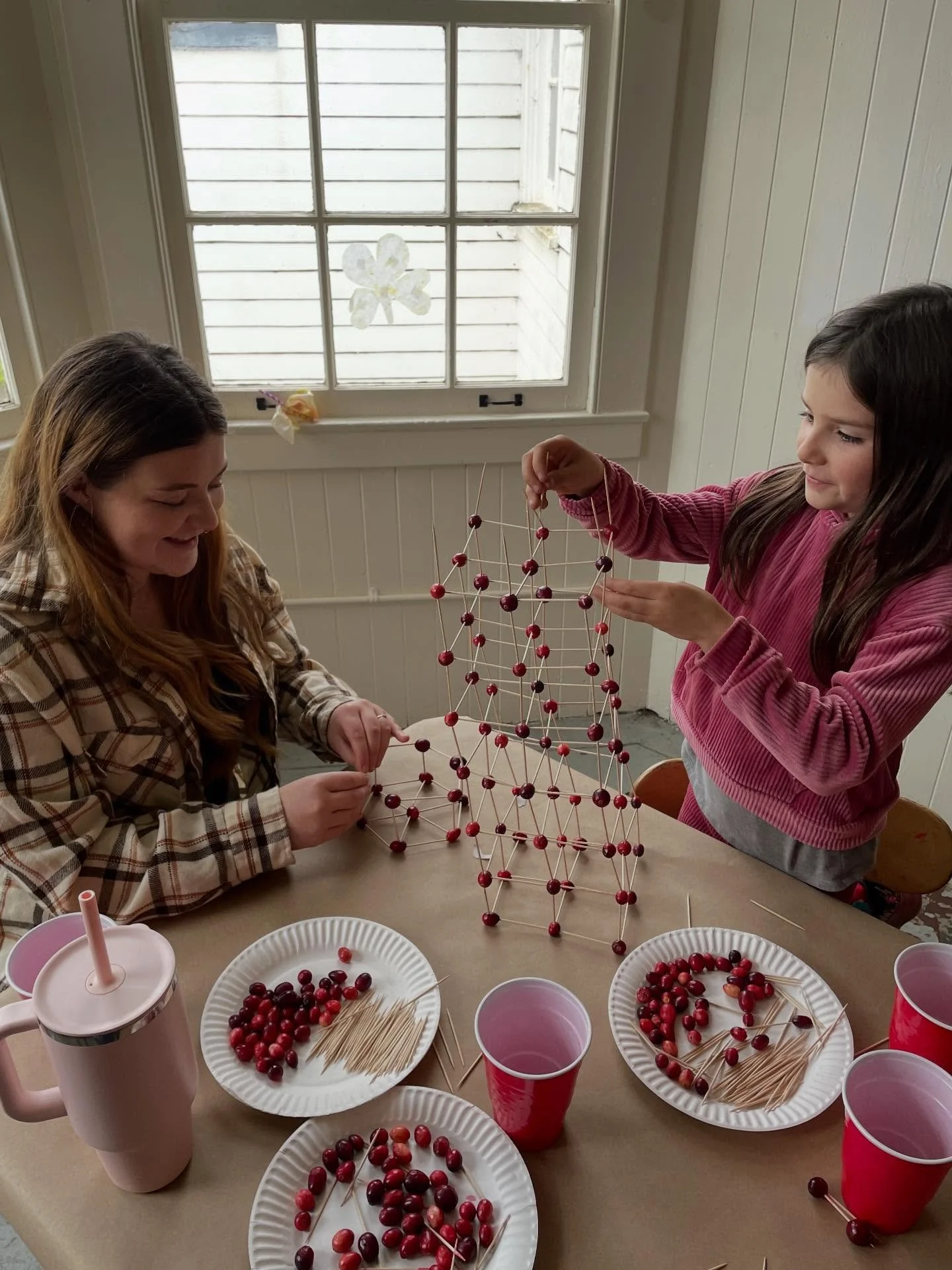Cranberry Toothpick Grand Structures...Magic Mix Stem Class!!!