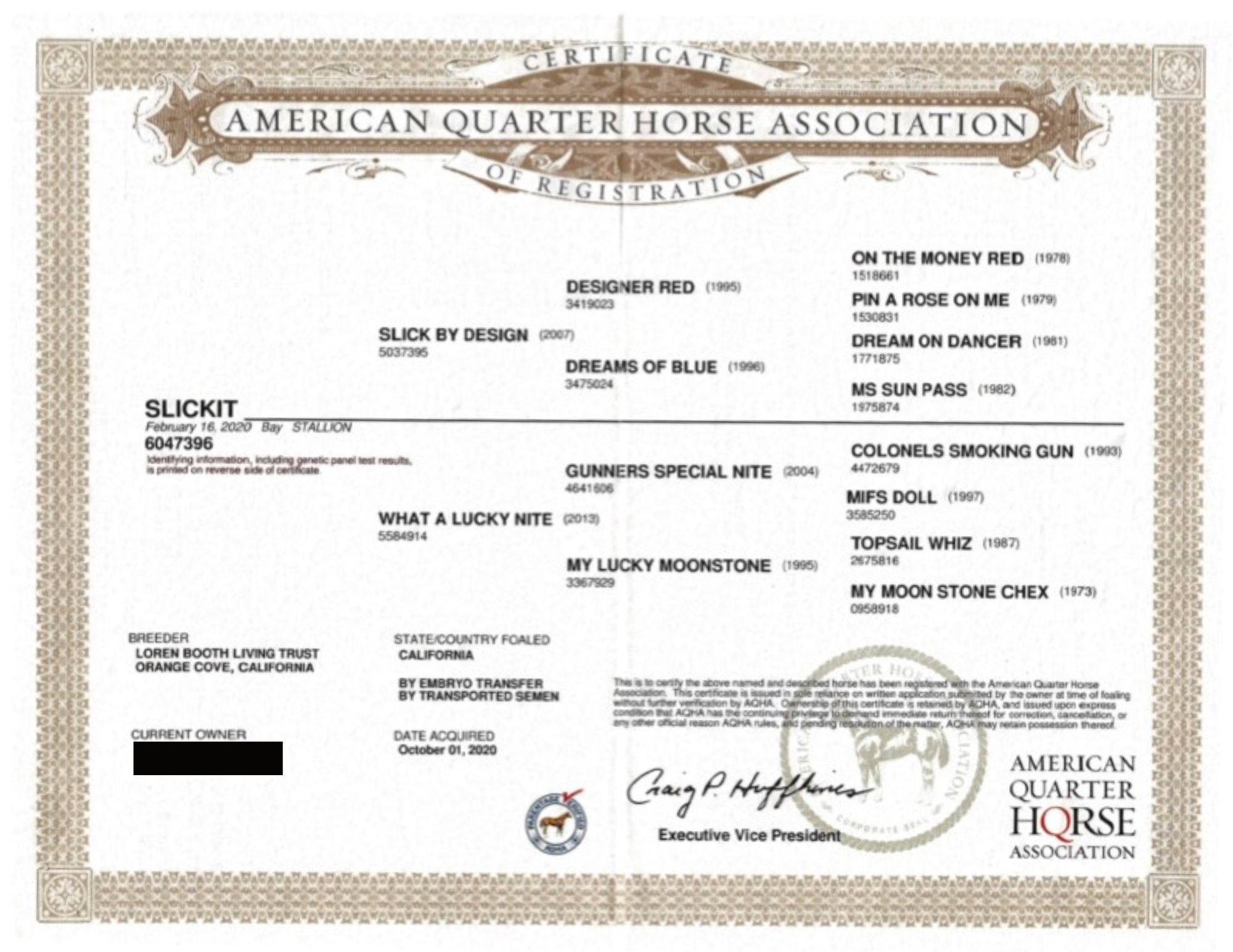 slickit papers final.png