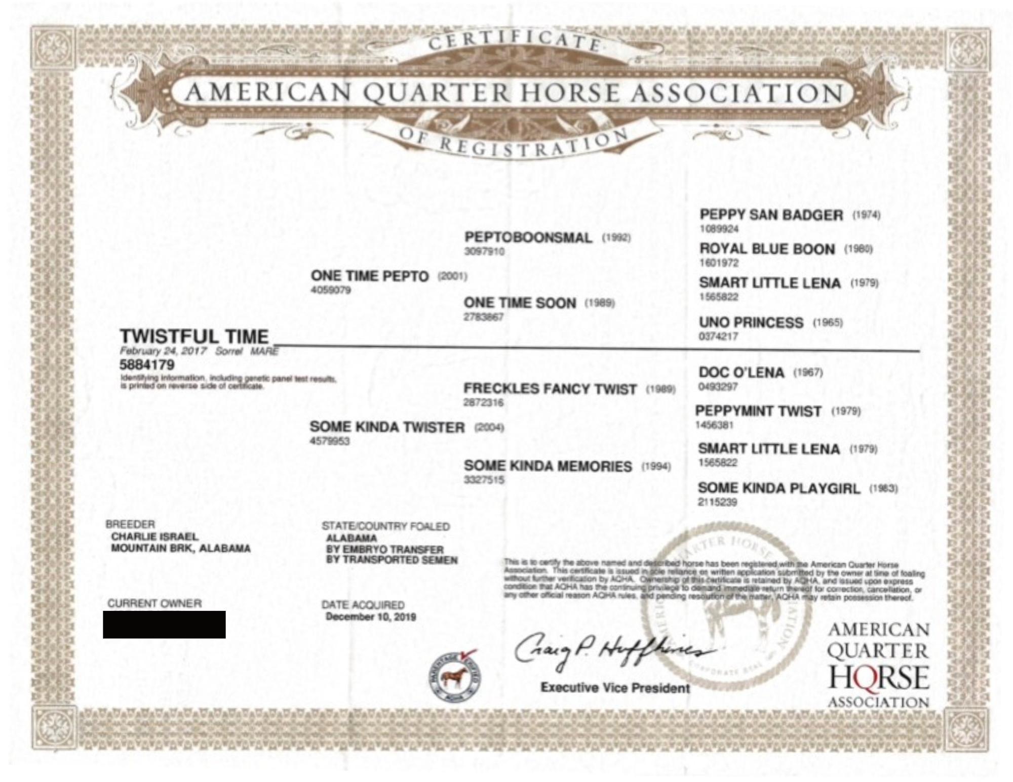 twistful time papers final.png