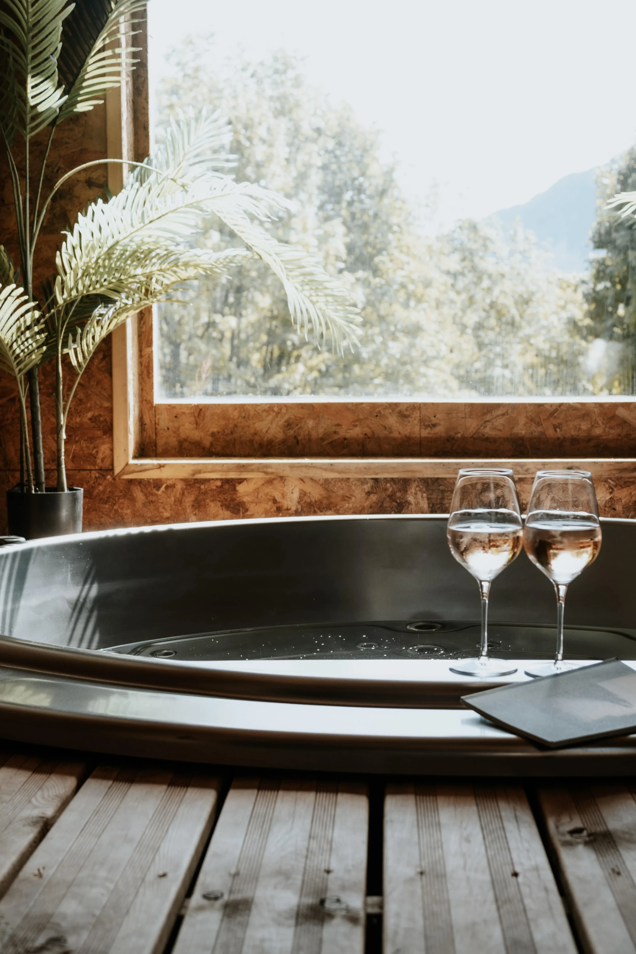 Spa avec jacuzzi à saint sorlin d'arves