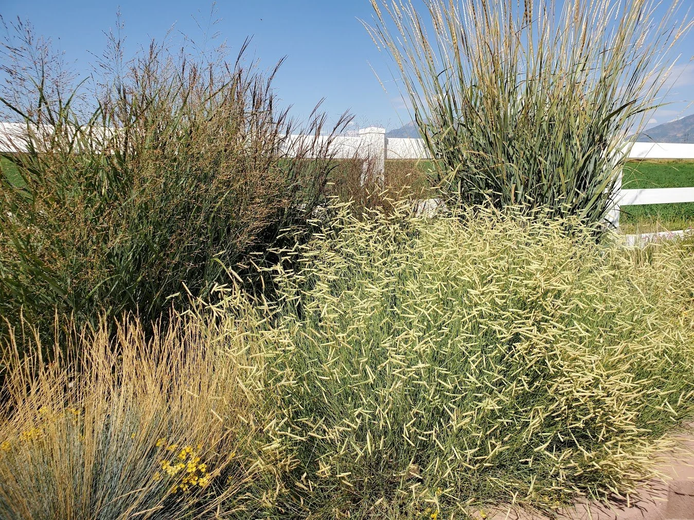 20190906_154156 (1).jpg