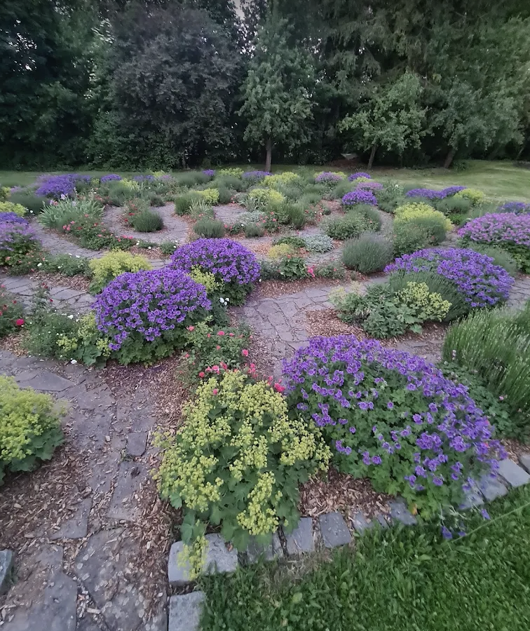 Sheng Zhen Meditation Workshop