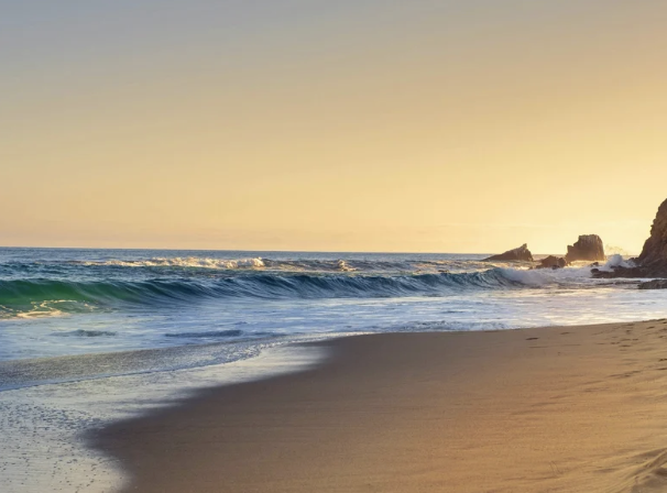 Free Sheng Zhen Practice in Santa Cruz
