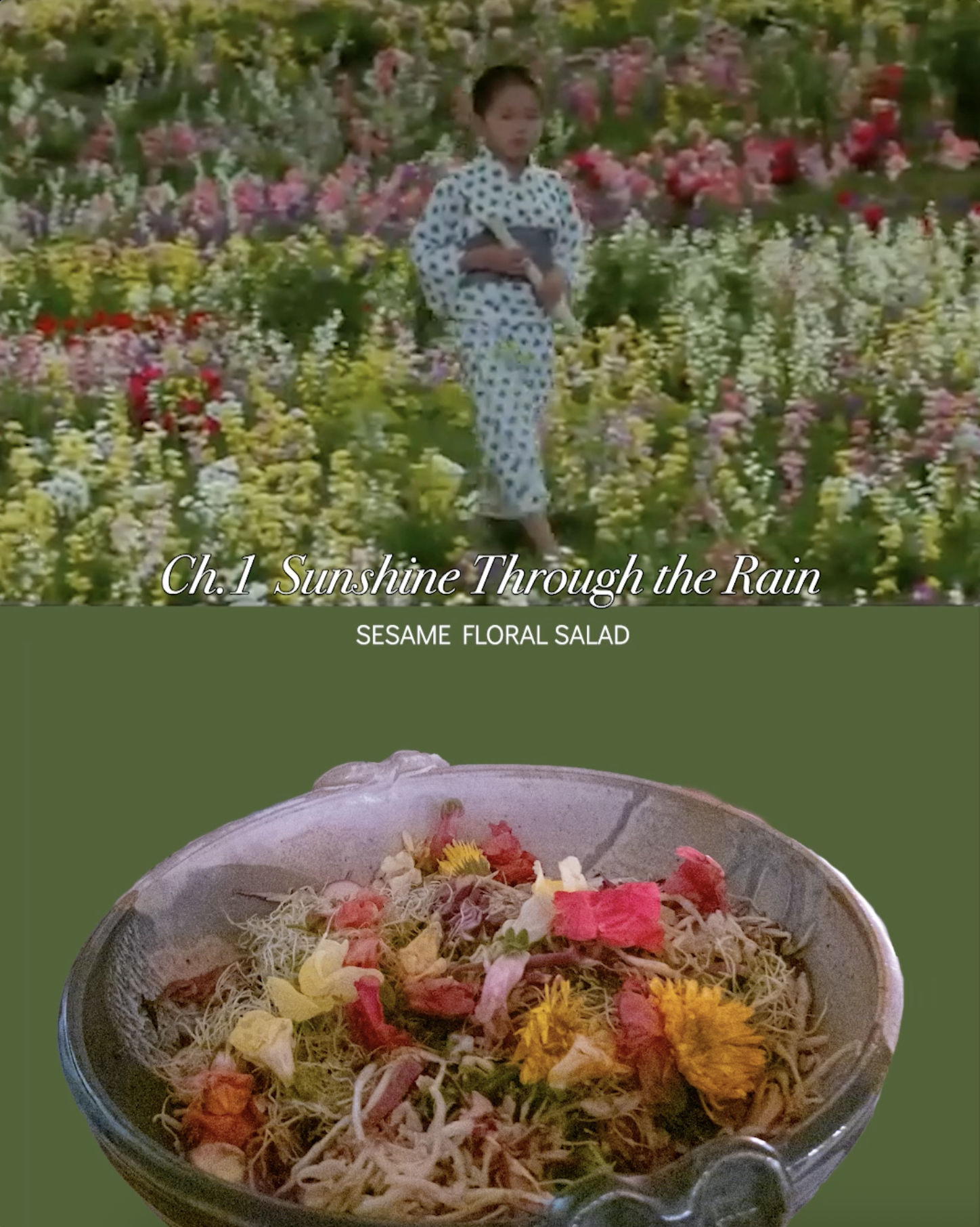 Ch. 1 Sunshine Through the Rain