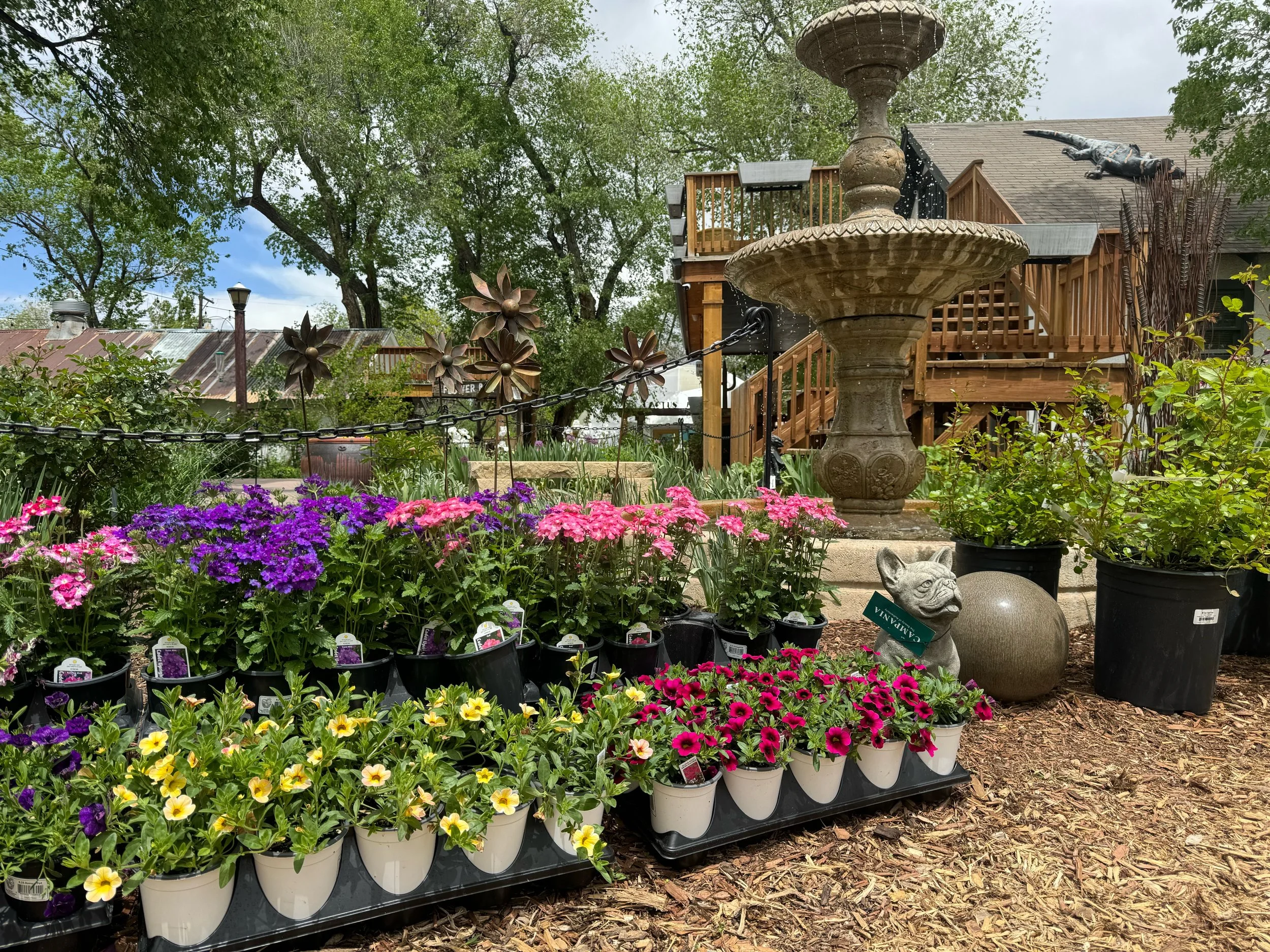 Tomato-Fest/Mother’s Day Weekend