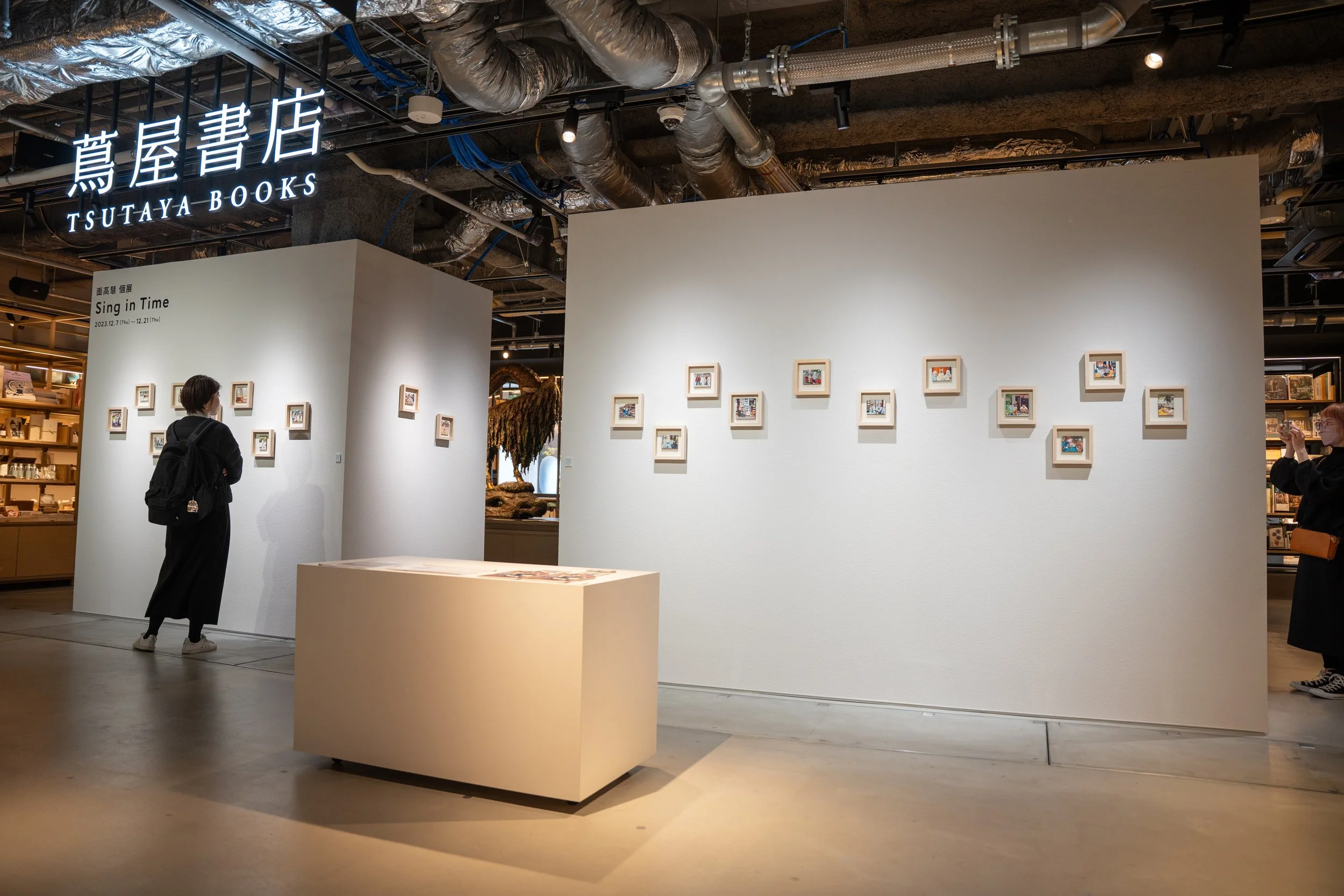 Installation View at Kyoto Tsutaya Books (Kyoto JAPAN), Photo by Dana Ollestad