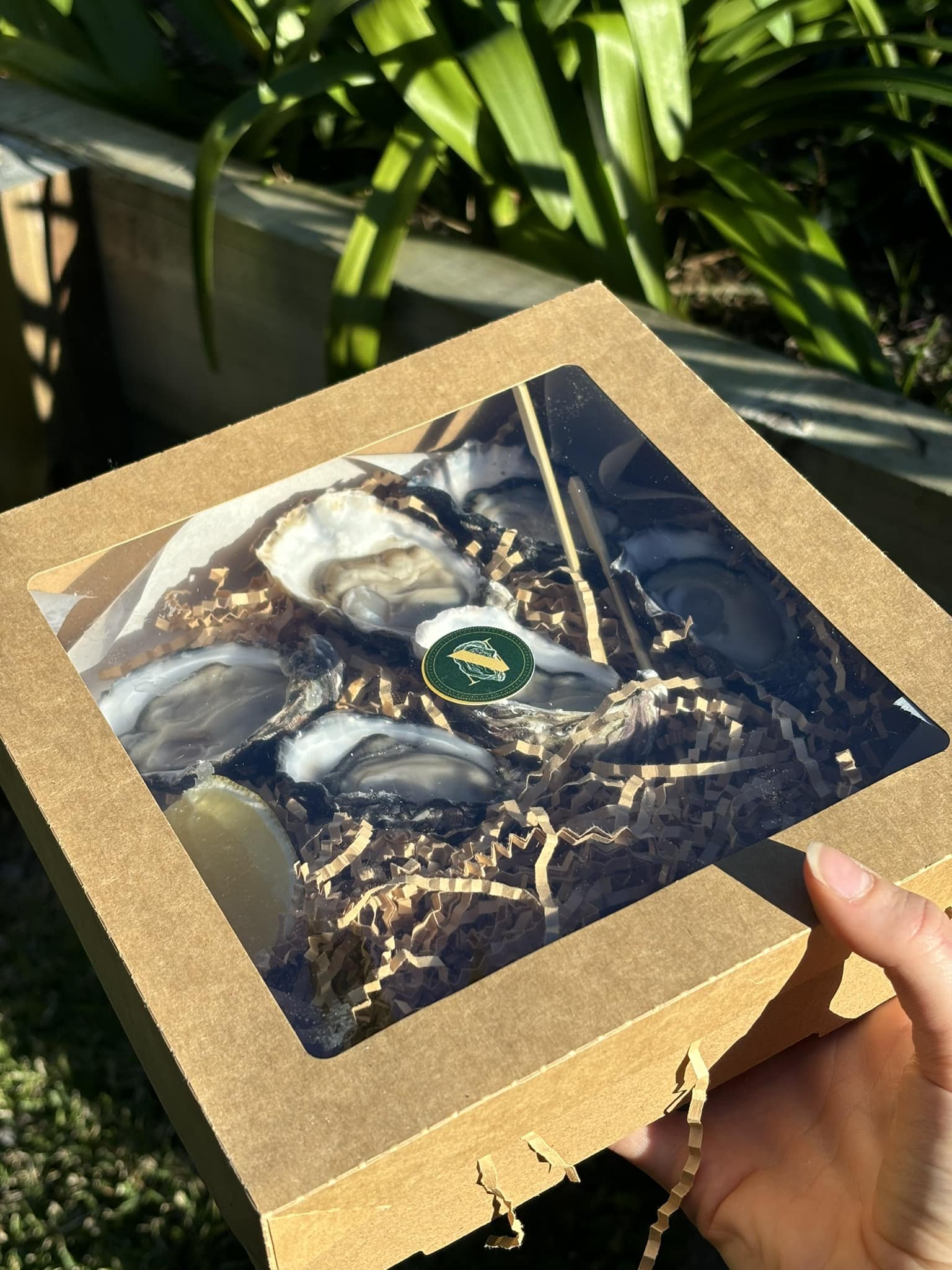 catering-tray-lid.jpg