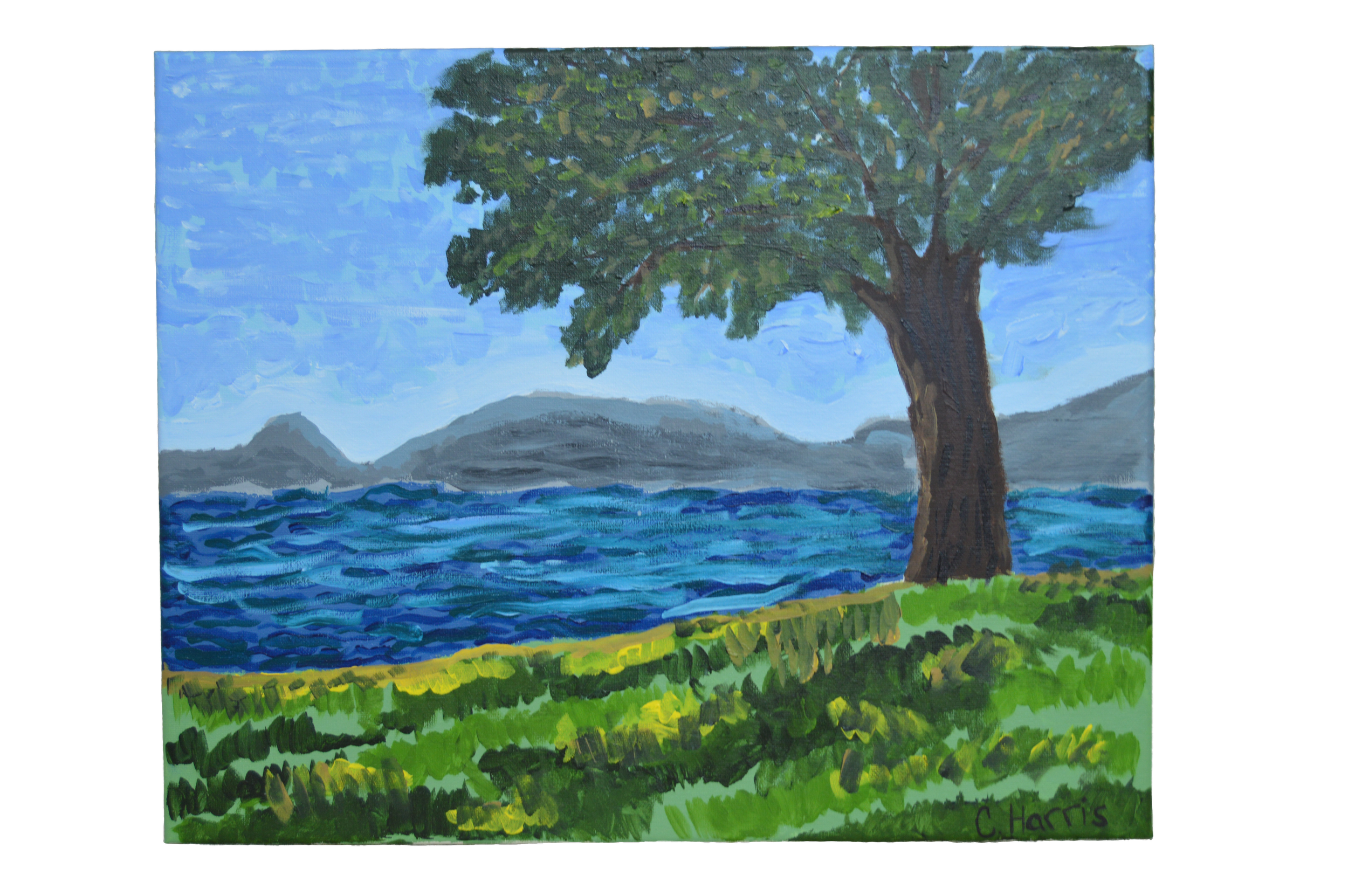 Painting 1.png