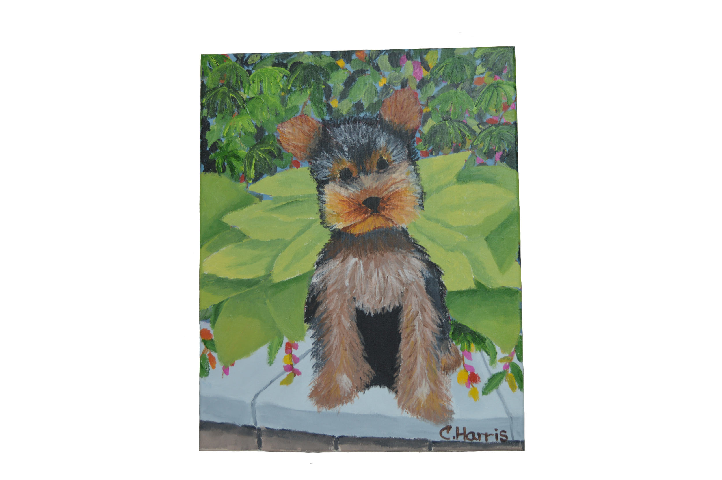 Painting 5.png