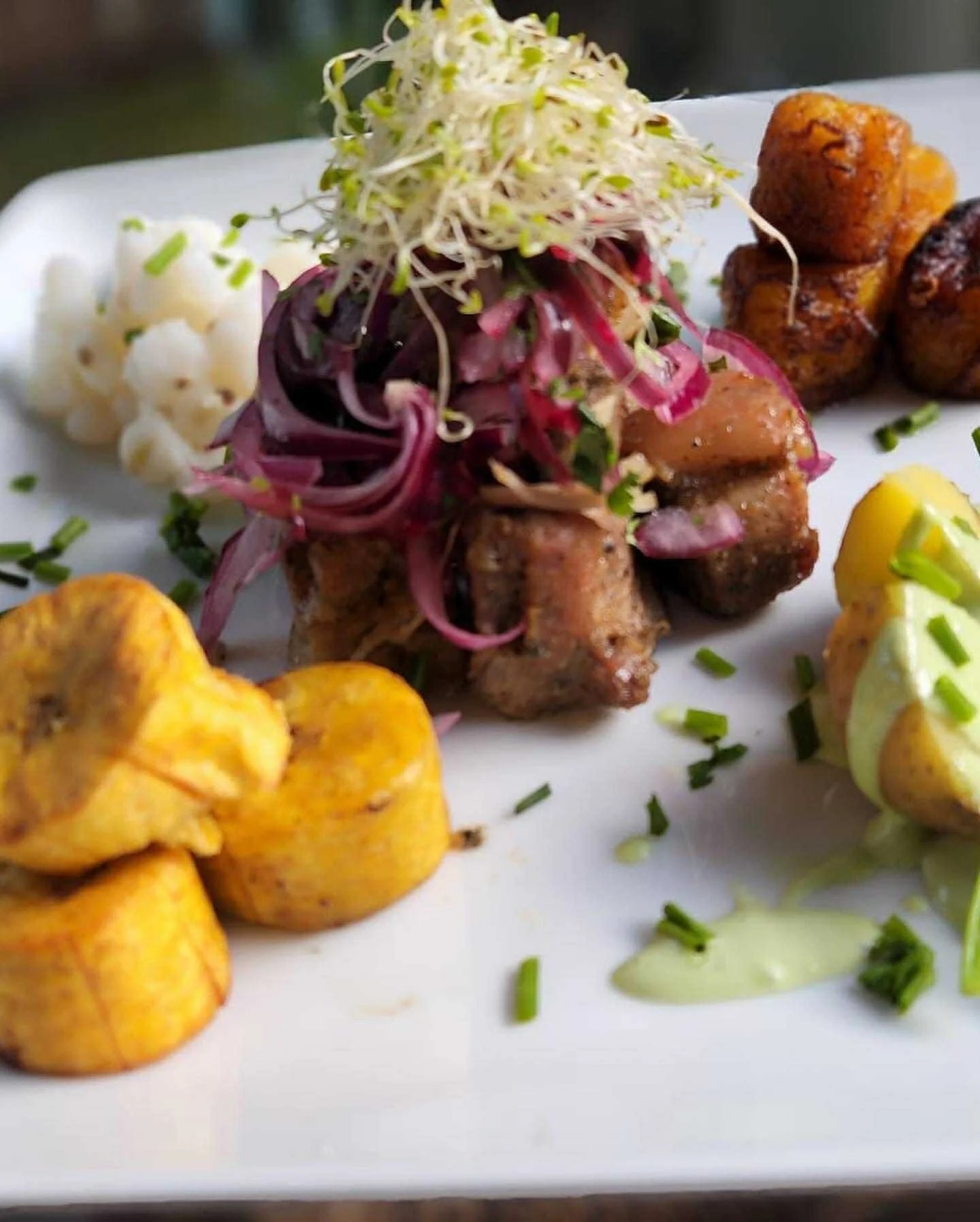 fritada6.jpg