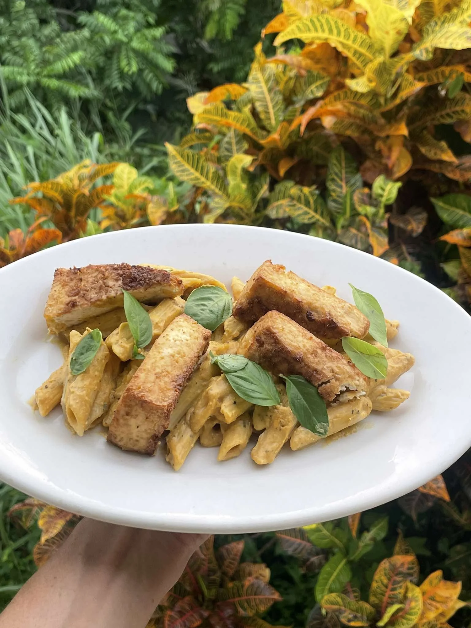 Creamy Pumpkin Pasta Sauce