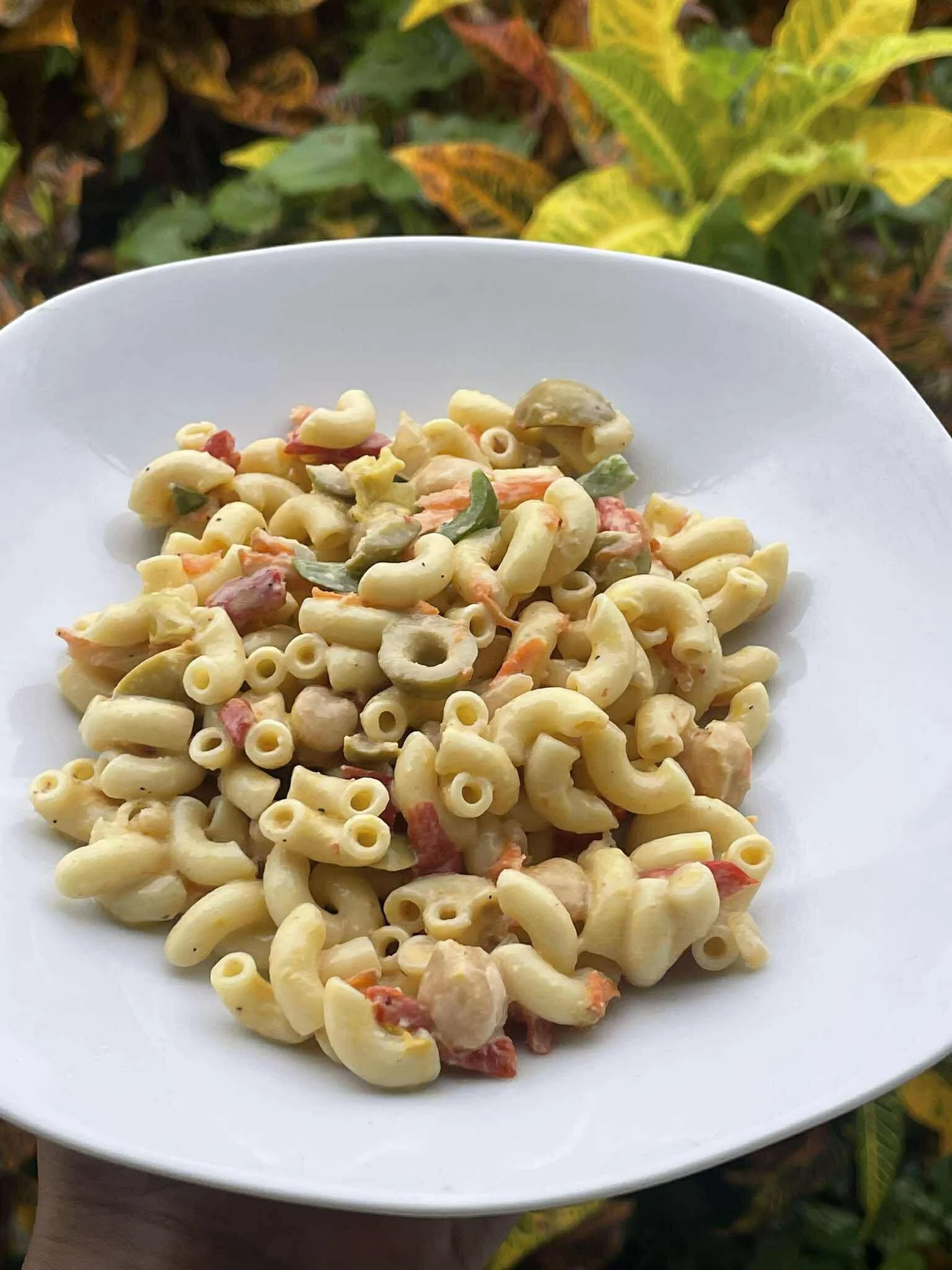 Ensalada de Coditos