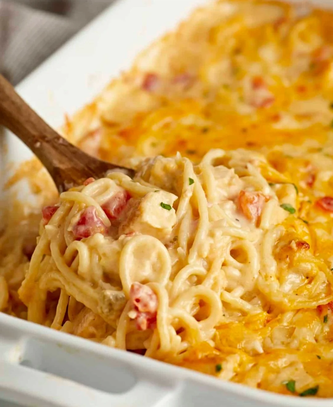 Creamy Chicken Spaghetti