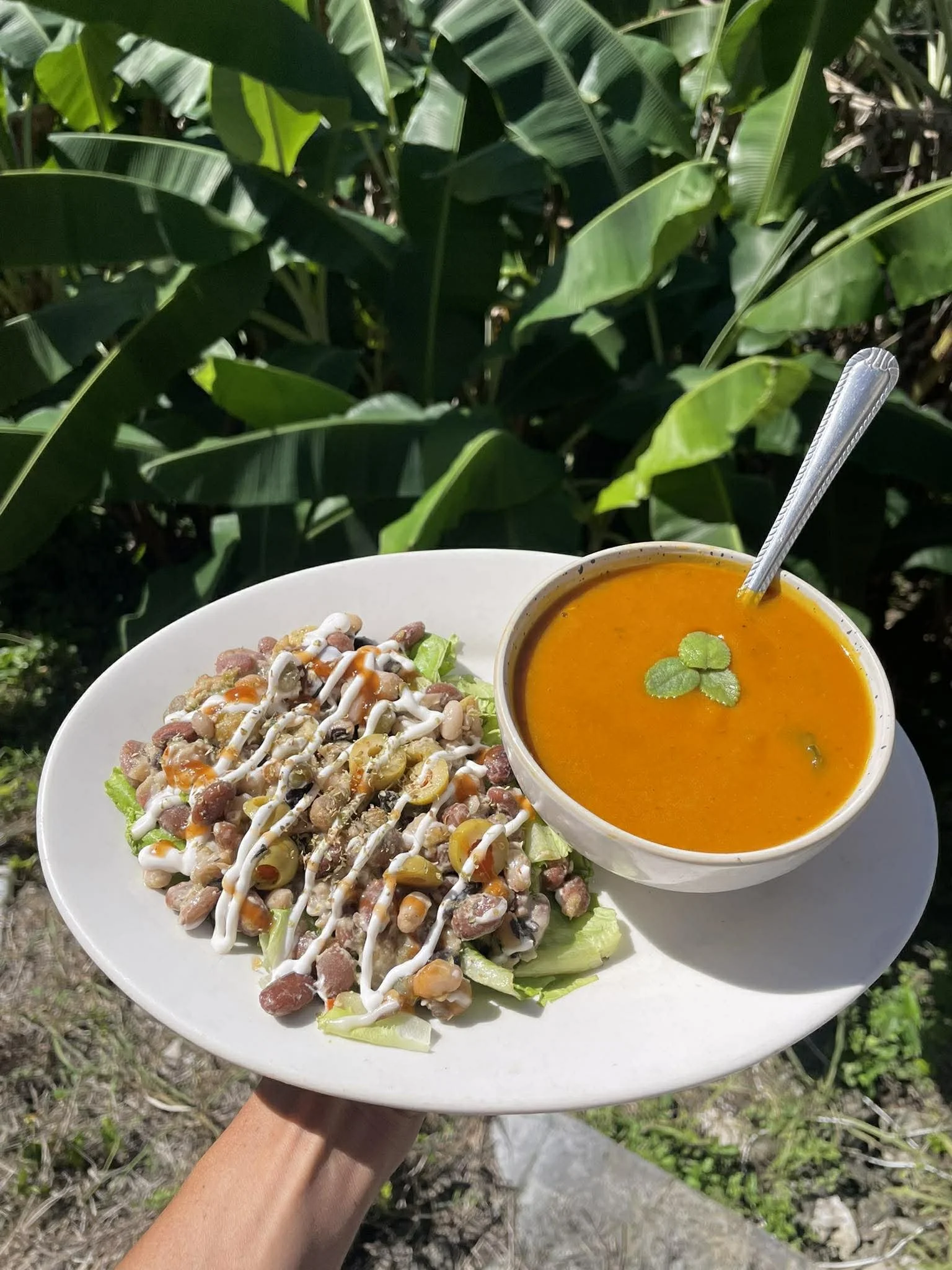 Creamy Savory Pumpkin Soup (Plant-Based)