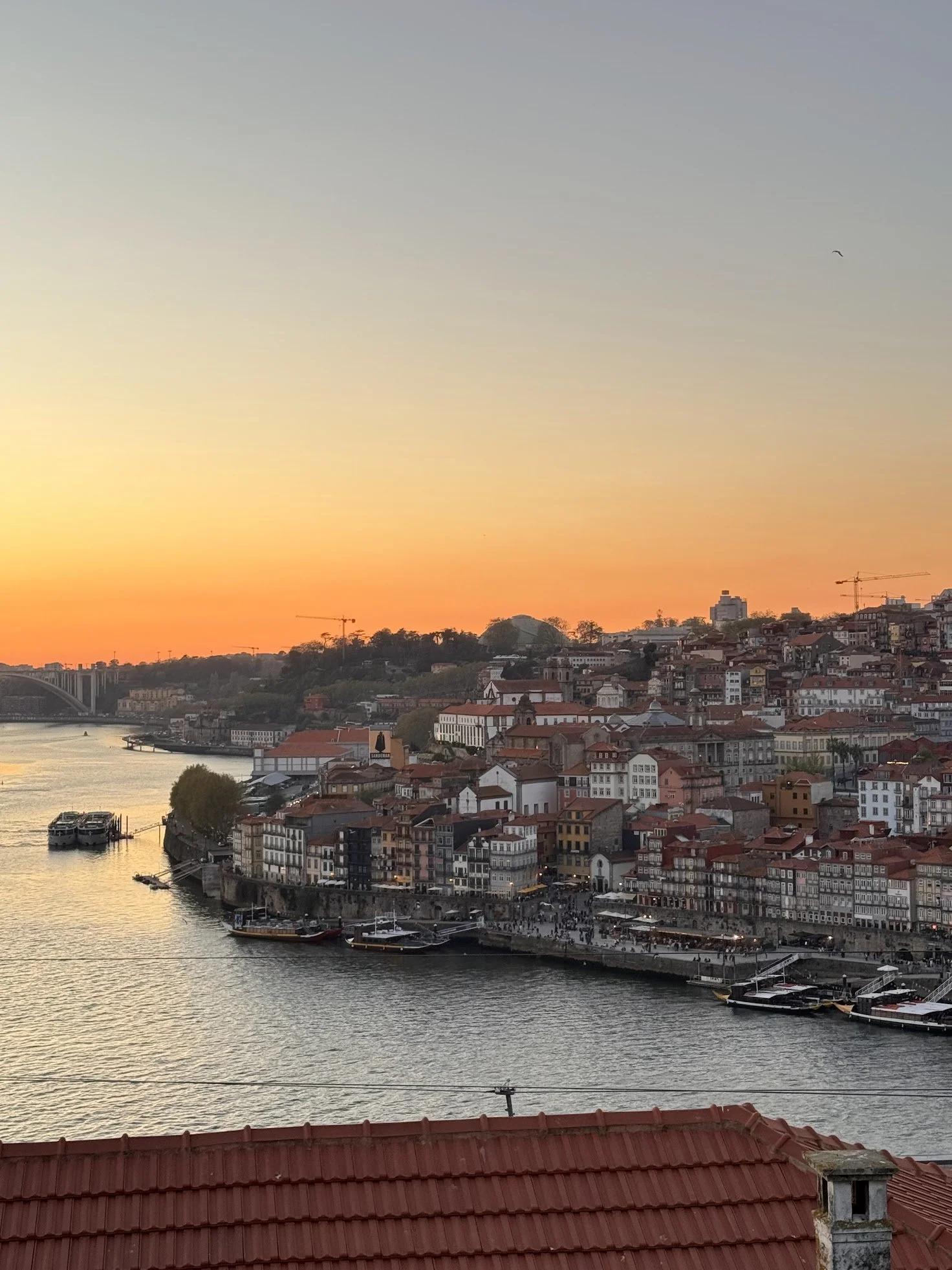 Porto with Kids: 8 Unforgettable Things to Do on a Family Trip to Portugal 