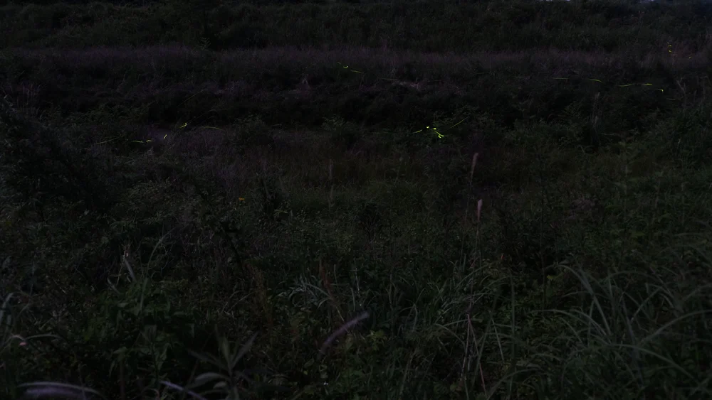 DSCF5421.JPG