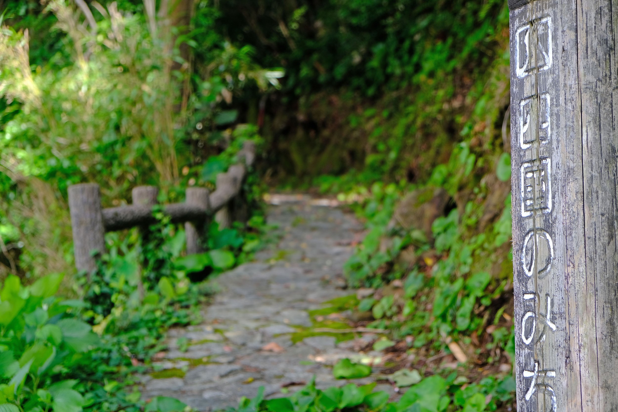 tokushima-kaiyo-shikoku-no-michi-hiking-trail.jpg