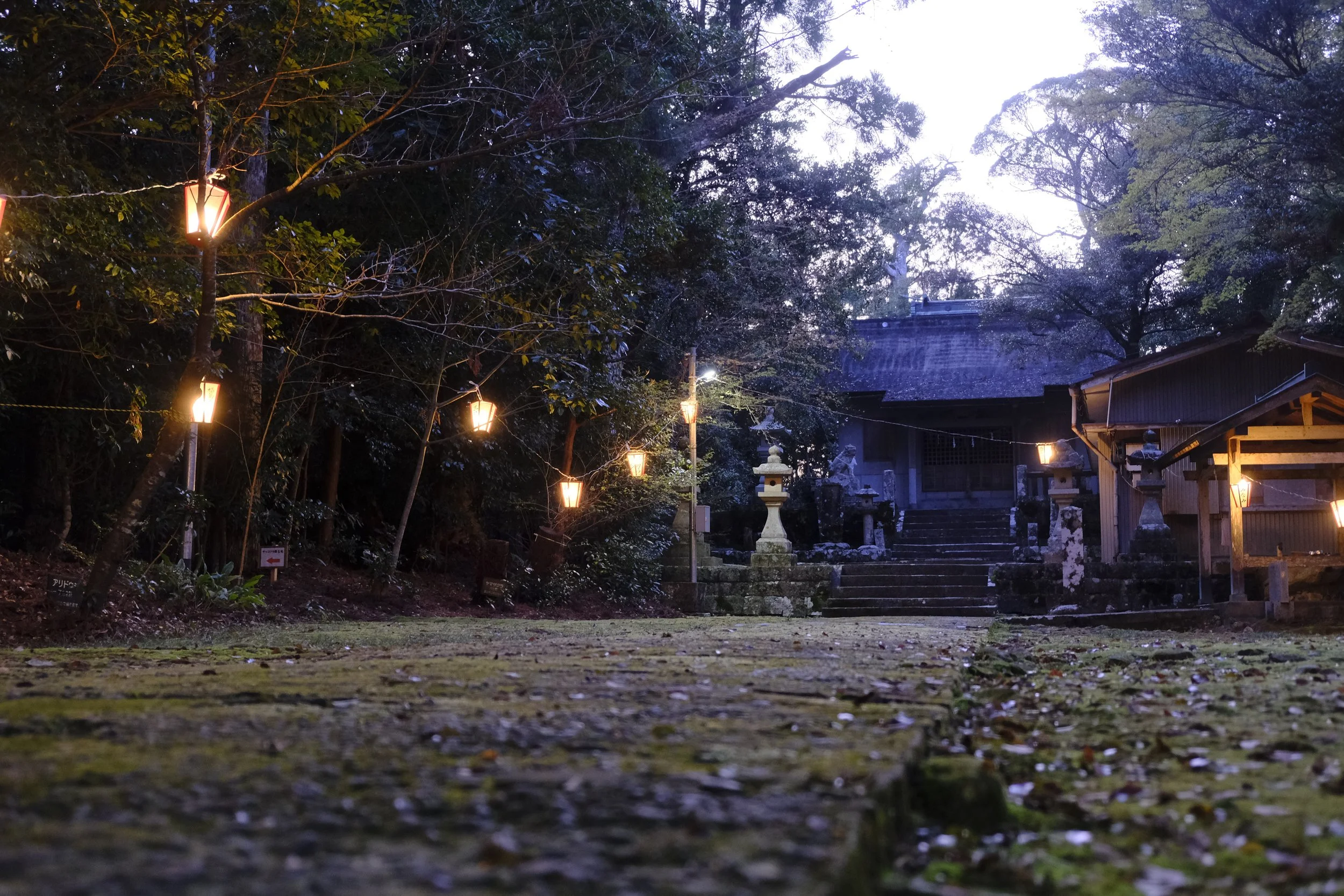 akiragen-shrine-evening-ground-level-shot.JPG