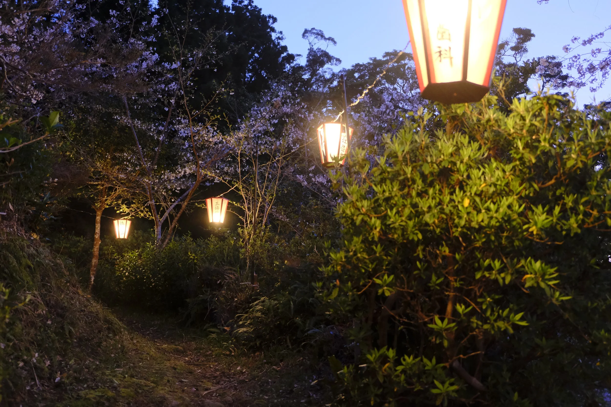 mt-myoken-park-hanging-lanterns.JPG