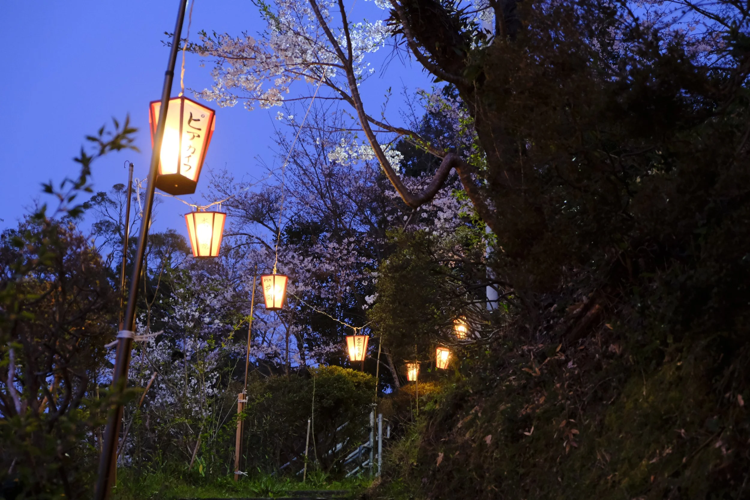 mt-myoken-stairs-low-light-ground-level-shot.JPG