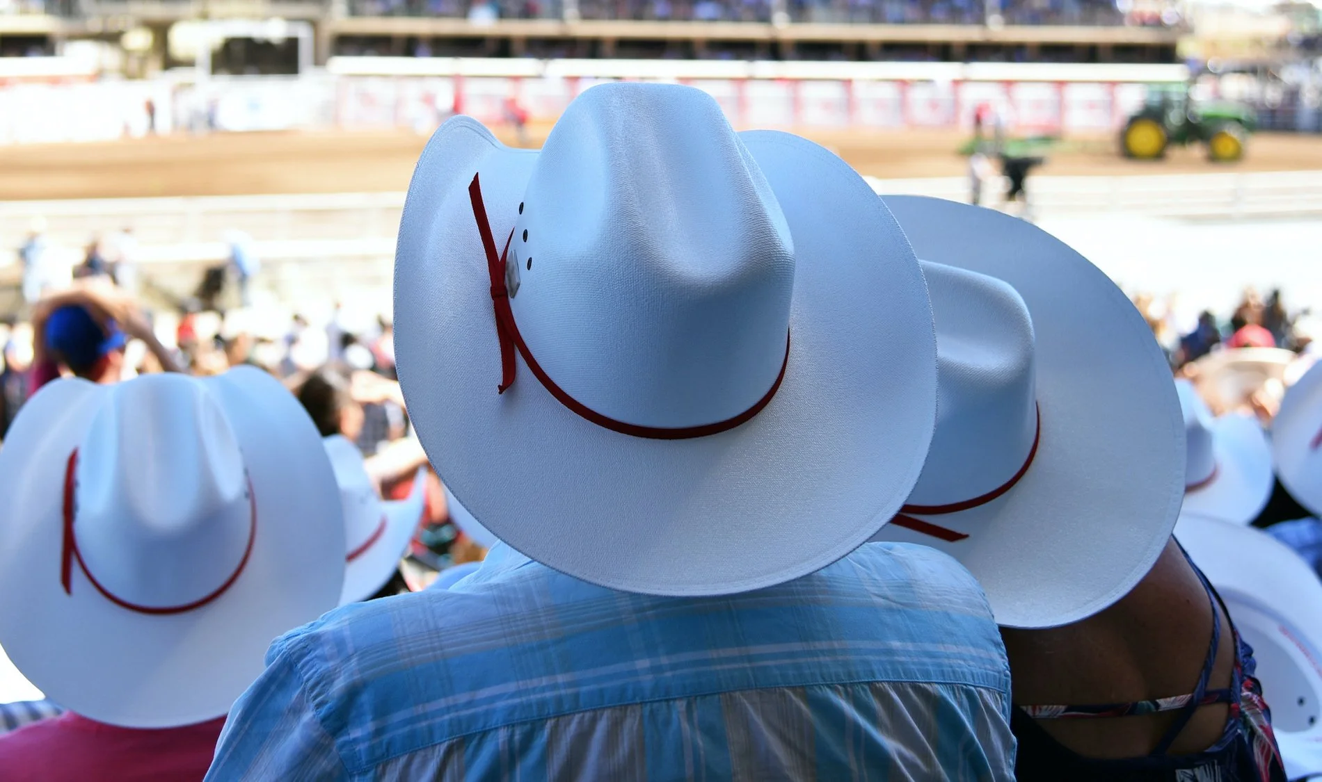 To see the wonders of Australia’s outback can take months on the road, but flying gives you a whole new perspective on this incredible country and, can be done in just a few days. Even a visit to Lake Mungo, lunch and a tour of the ancient lake.