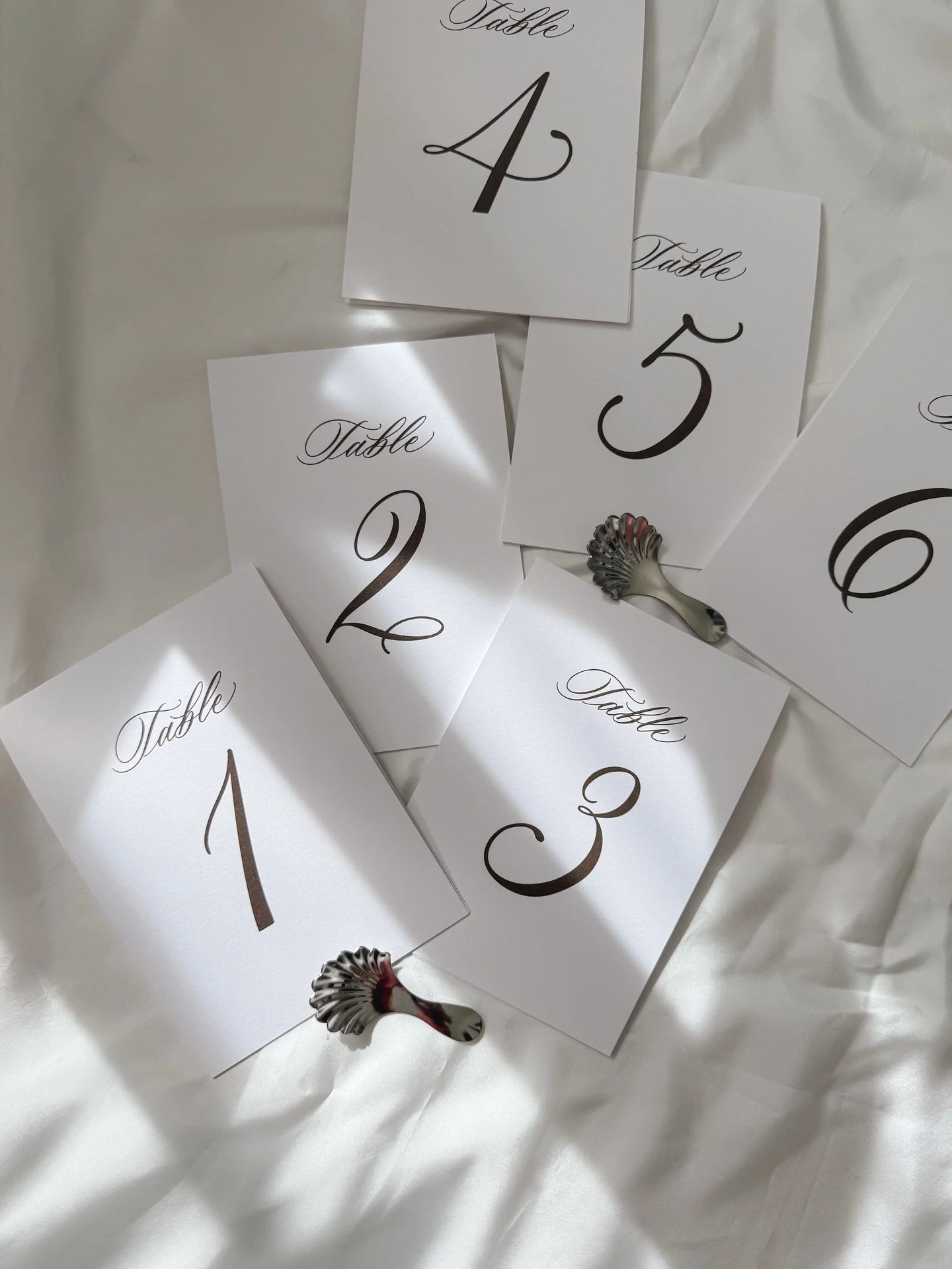 A little piece of calligraphy on every table 🤎

#foldedtablenumbers #tablenumbers #handlettered #digitalcalligraphy