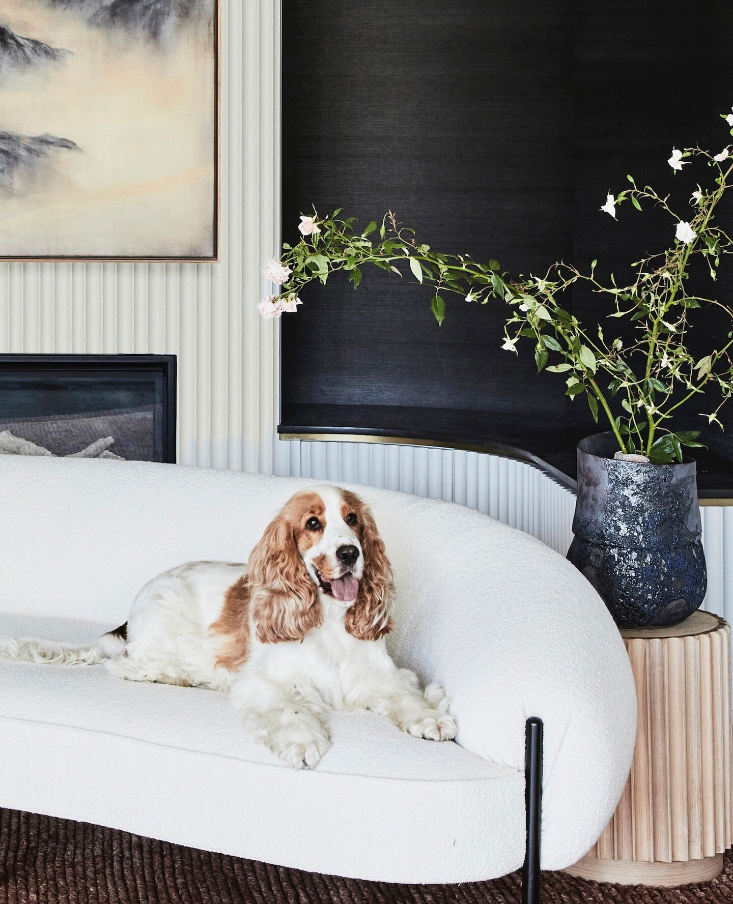 At Catherine de Meur Interiors, we believe that every member of the family deserves to feel at home, including our beloved furry friends! 🐾 When designing a functionally beautiful family home, we take into account the needs of every member, tail-wag