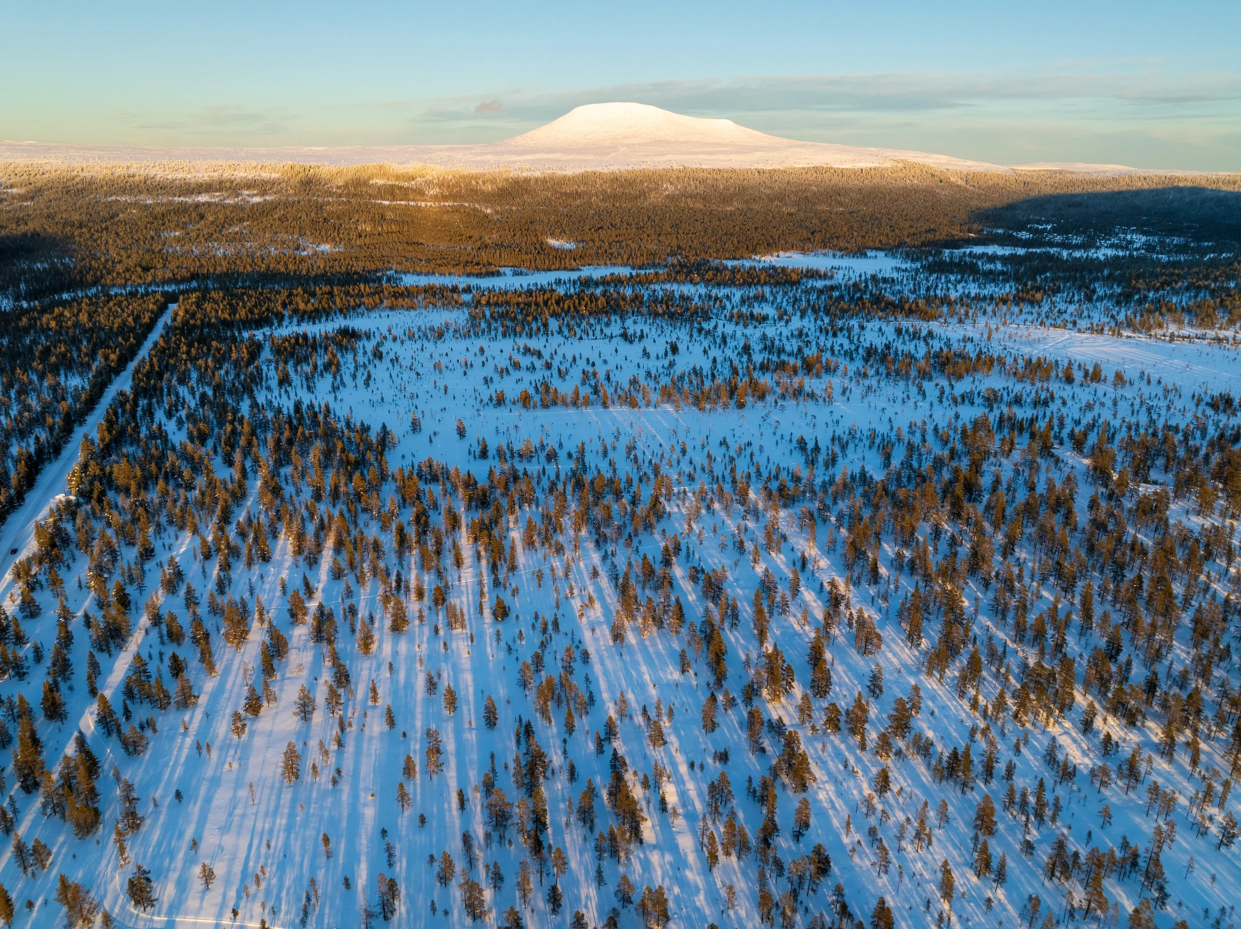 DJI_0680-HDR.jpg