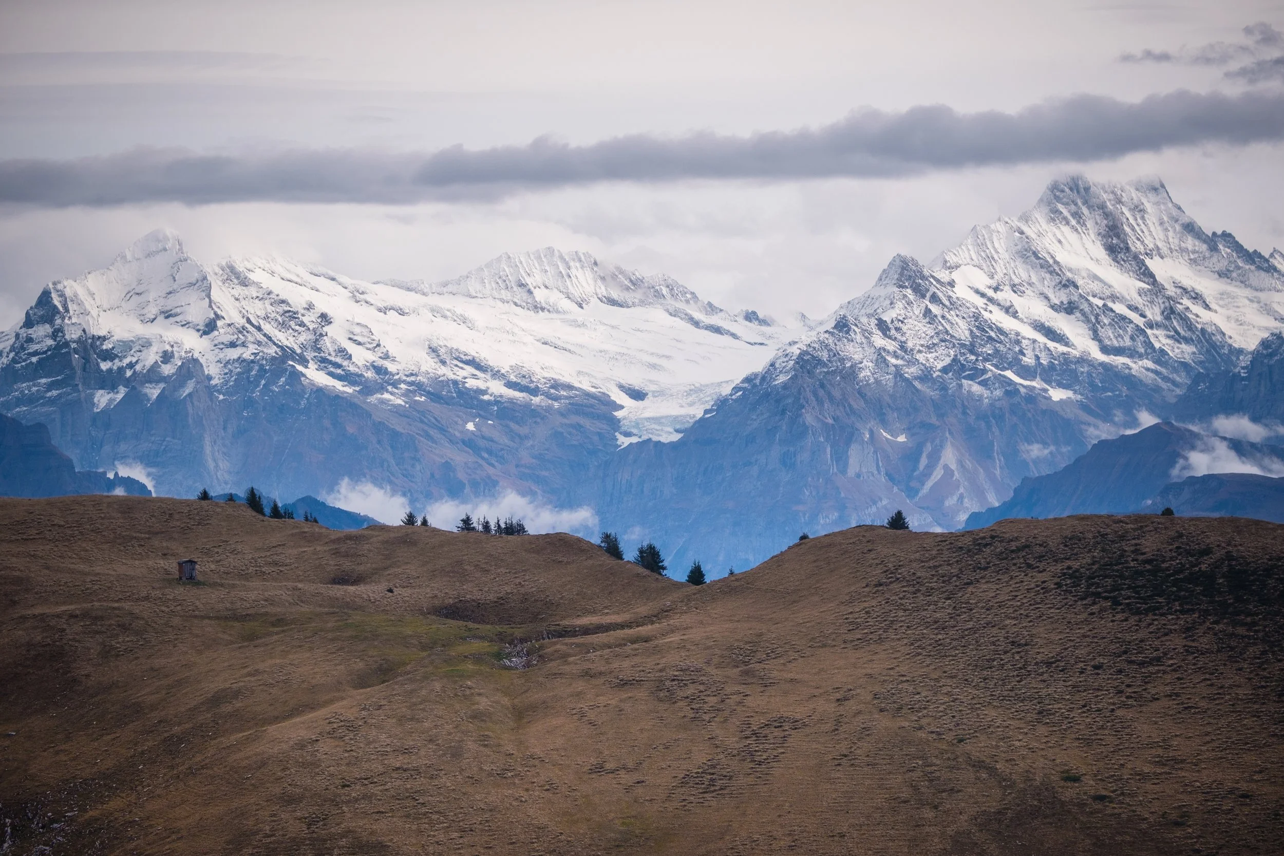 Berglandschaft mit schneebedeckten Gipfeln im Hintergrund und grasbewachsenen Hügeln im Vordergrund.