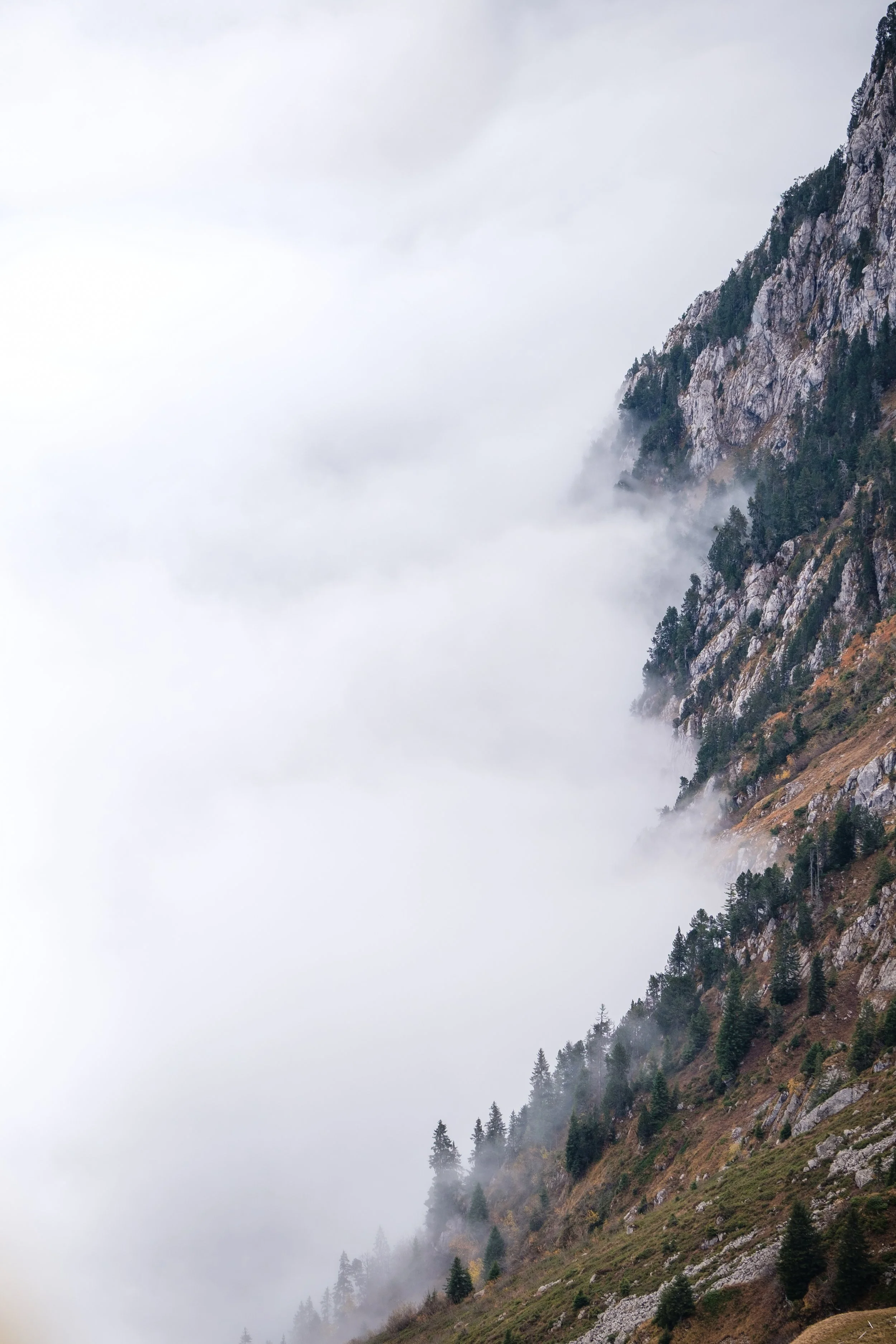 Berg mit bewaldeter Flanke, umgeben von Wolken und Nebel, bei nebligem Wetter.