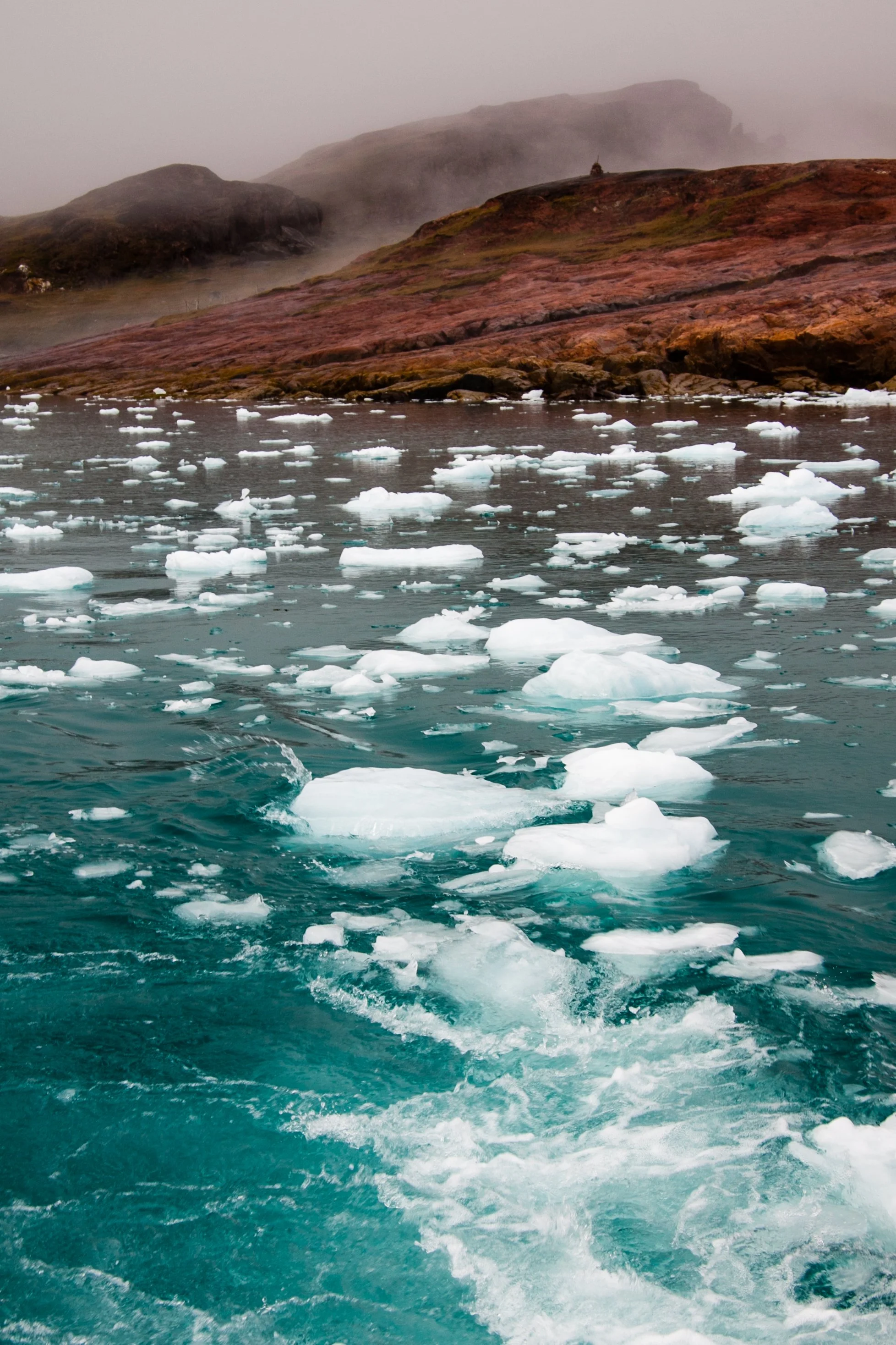 Eisberge treiben im Wasser mit Bergen und Nebel im Hintergrund.