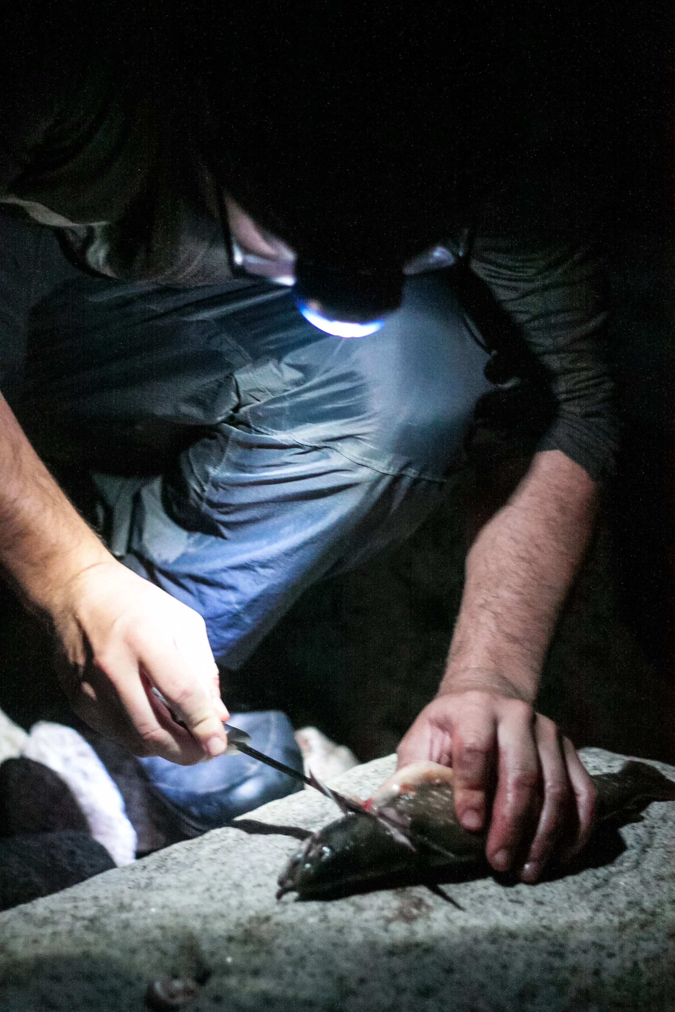 Mensch bei nächtlicher Fischverarbeitung mit Taschenlampe