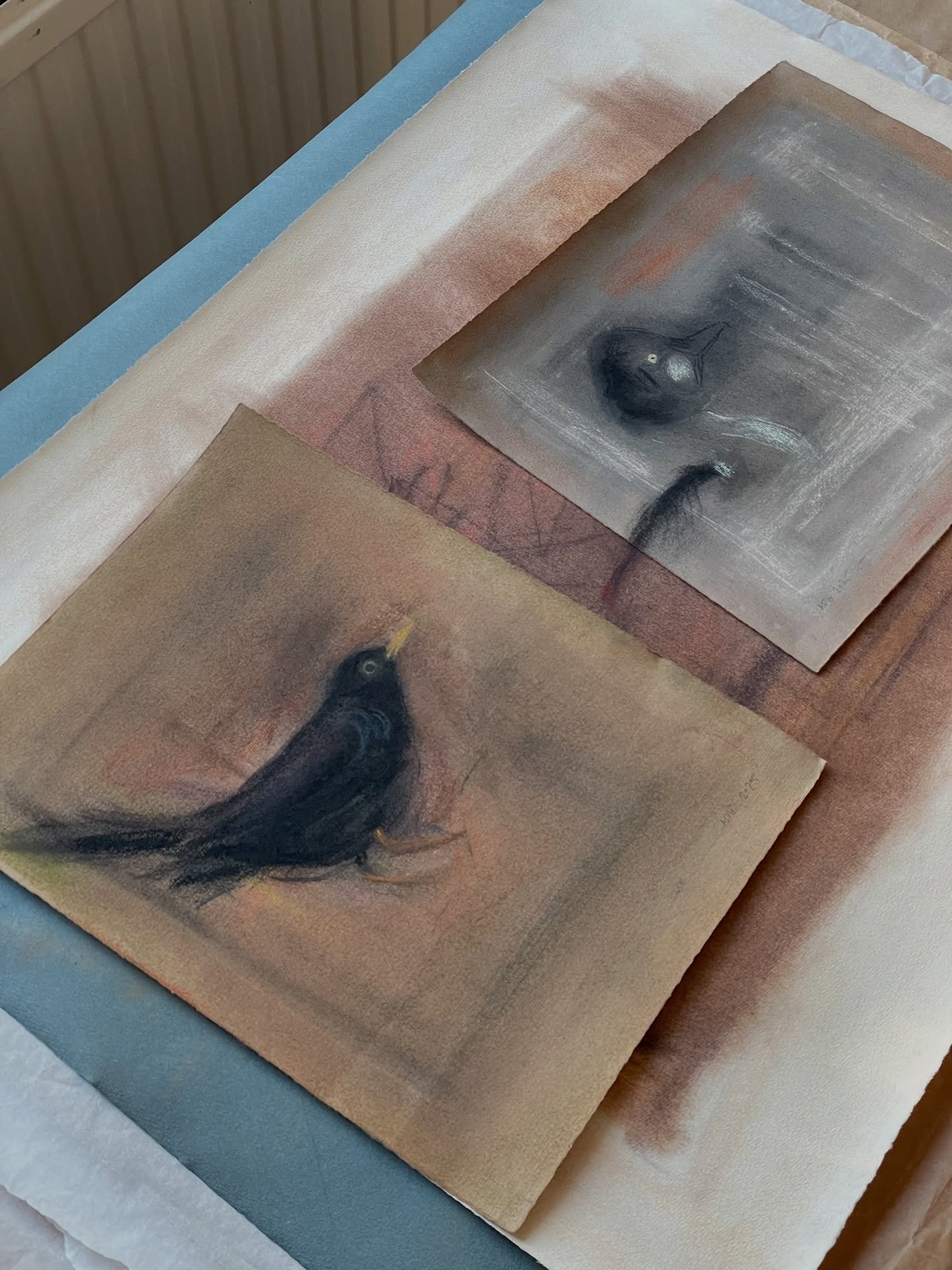 Tunnistatko linnut? Molempia n&auml;kee my&ouml;s talvella, mutta toinen tarvitsee avovett&auml; p&auml;rj&auml;t&auml;kseen. 

Viime vuonna mun listalle tuli 106 eri lintulajia Suomessa. Piirsin niist&auml; noin 30.