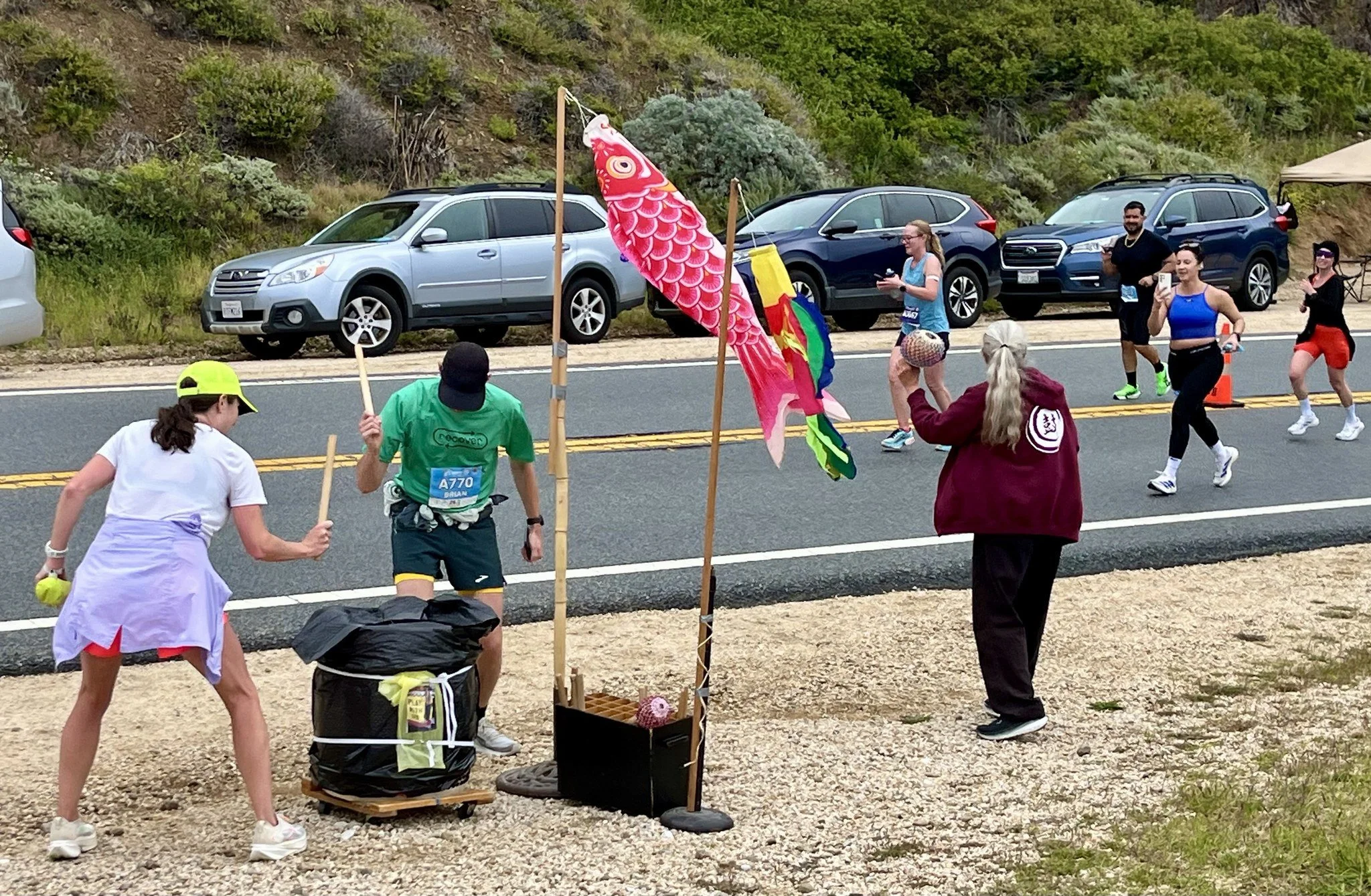 26 Big Sur.jpg