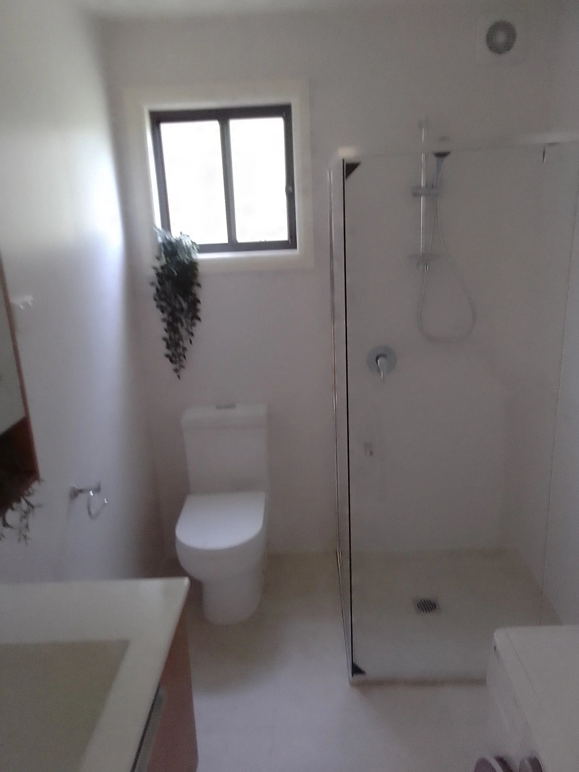A bathroom with a toilet, a showerhead with a hose, a window, and a plant hanging on the wall.mid north coast modular homes scconstruction.online