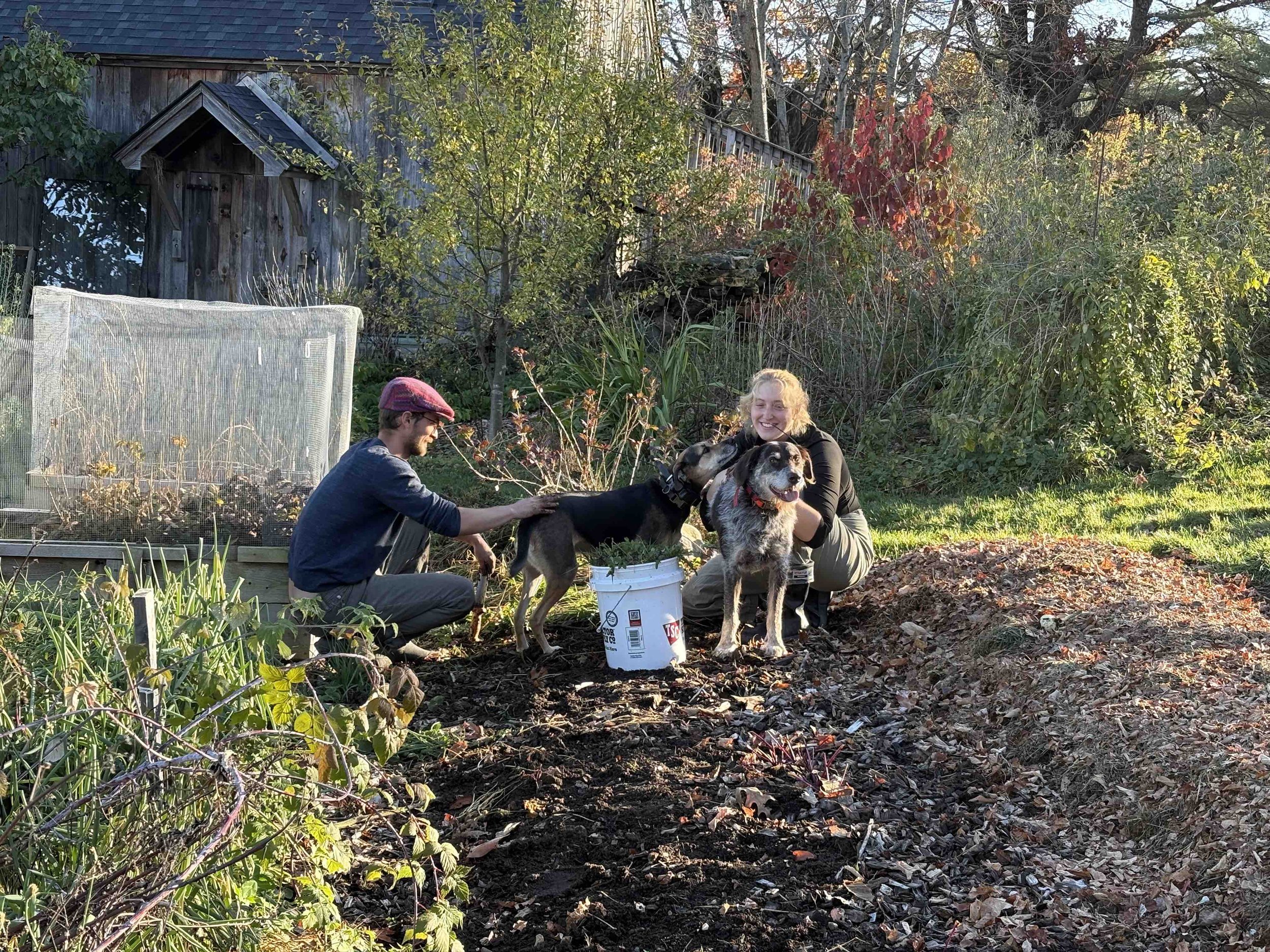 Ava Sam Potato Dogs.jpg