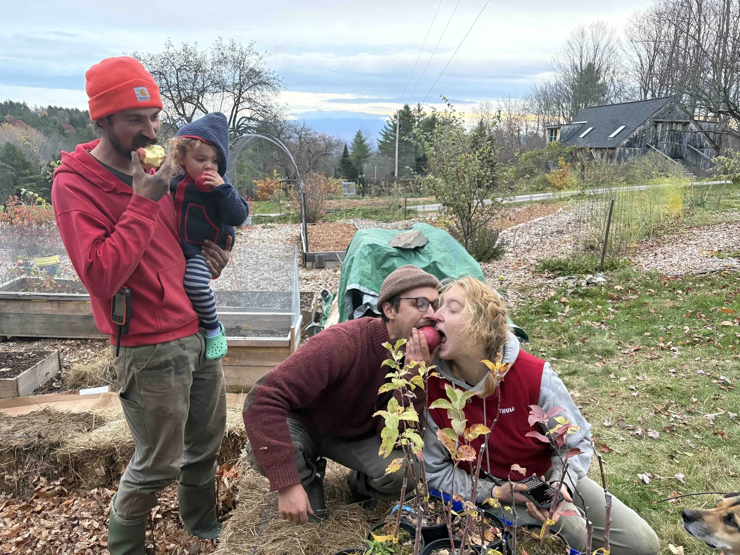 Eating Apples Erik Bug Ava Sam.jpg