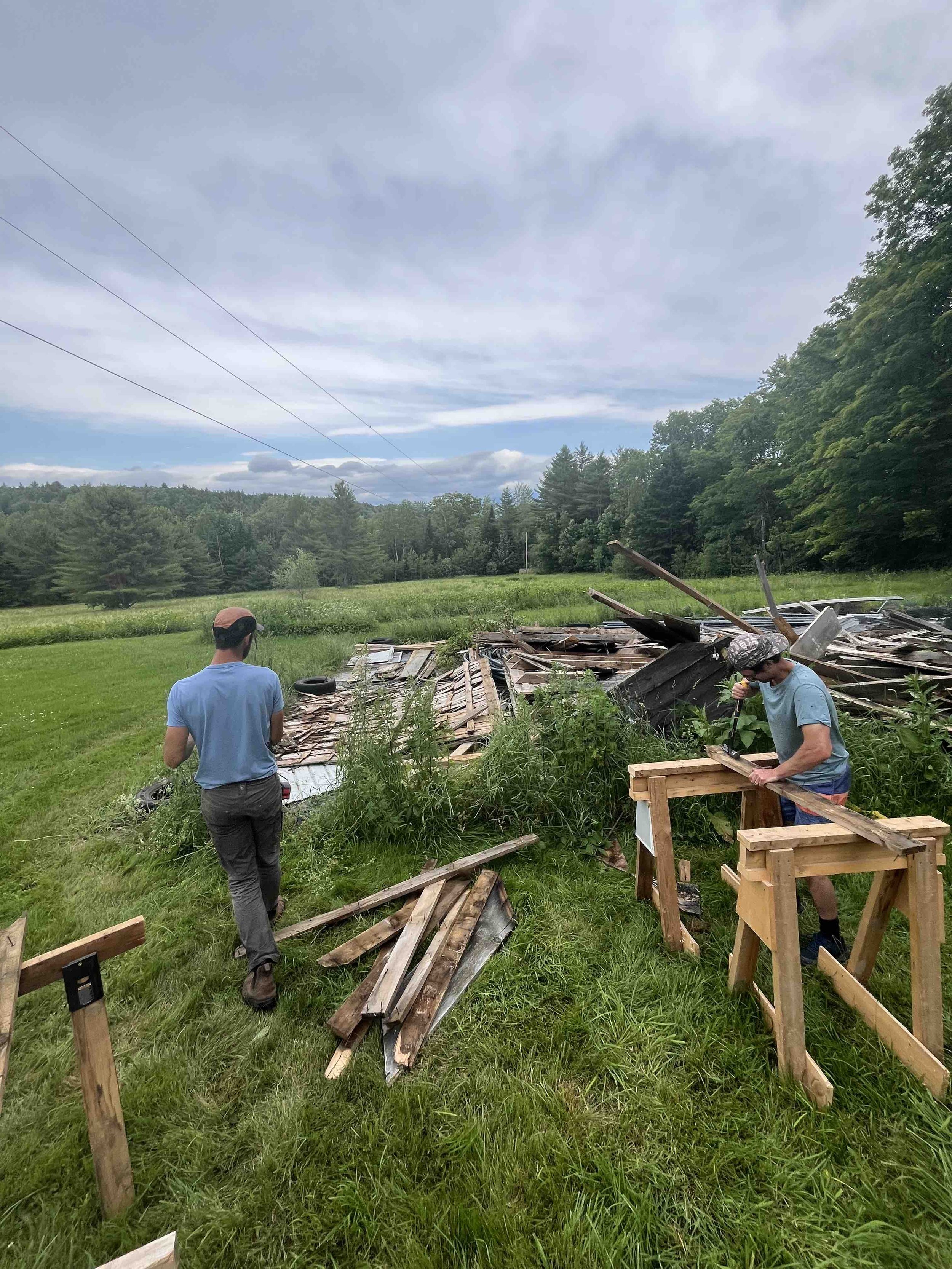 erik sam sheep barn.jpg