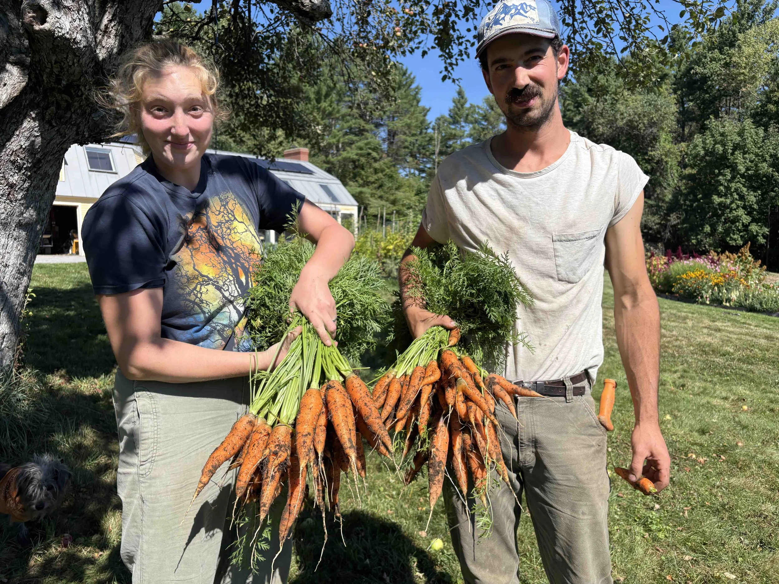 Ava + Erik Carrots.jpg