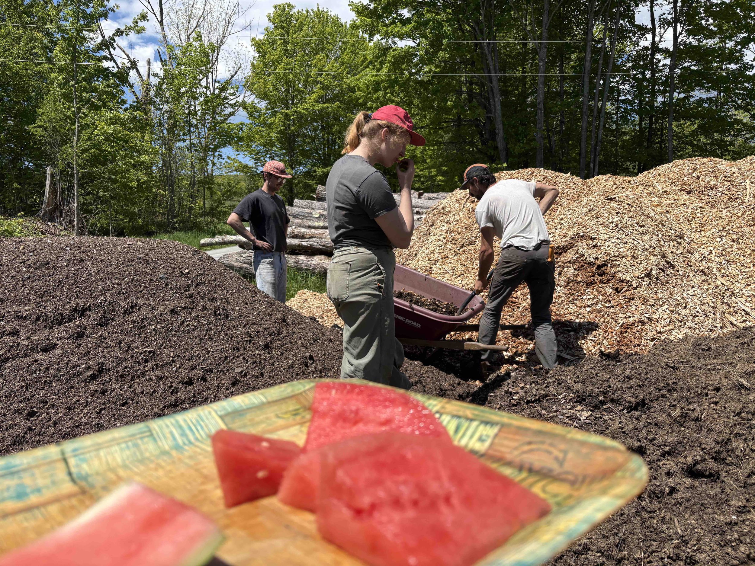 Watermelon Woodchips.jpg