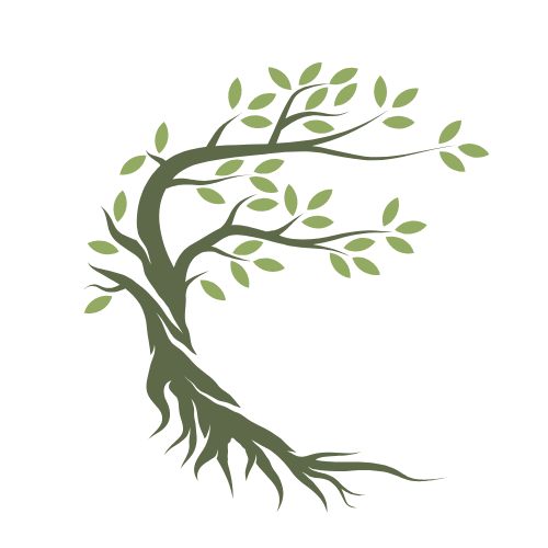Yoga Therapy & Restorative Yoga in Esher | The Botanical Collection at ...
