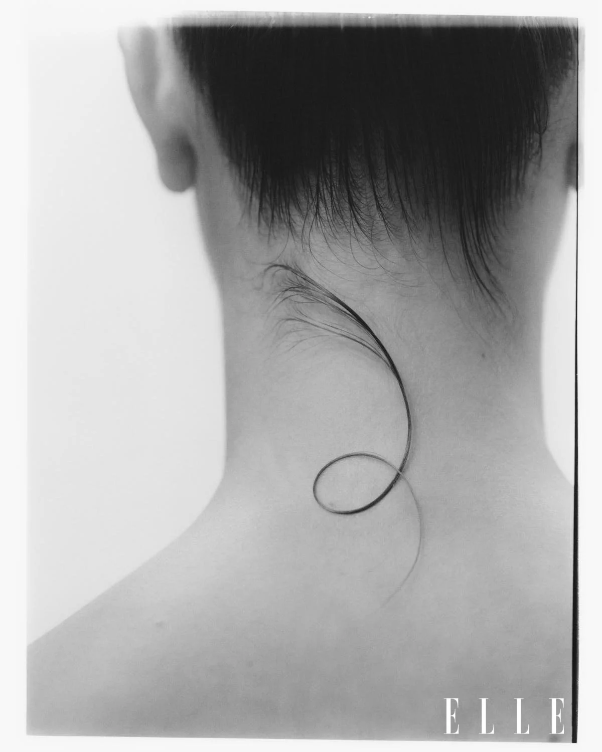 Untitled design (4).jpg