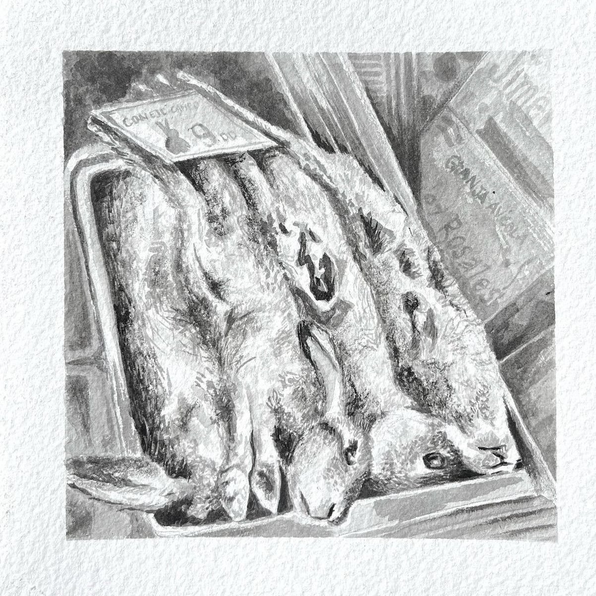 Spanish Rabbits