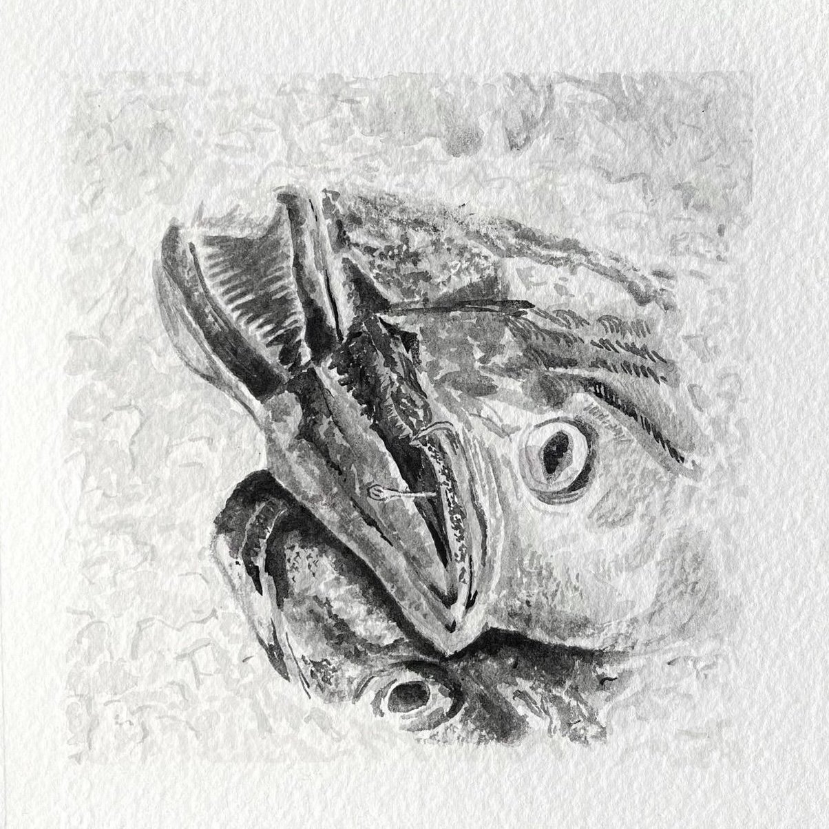 Spanish Fish
