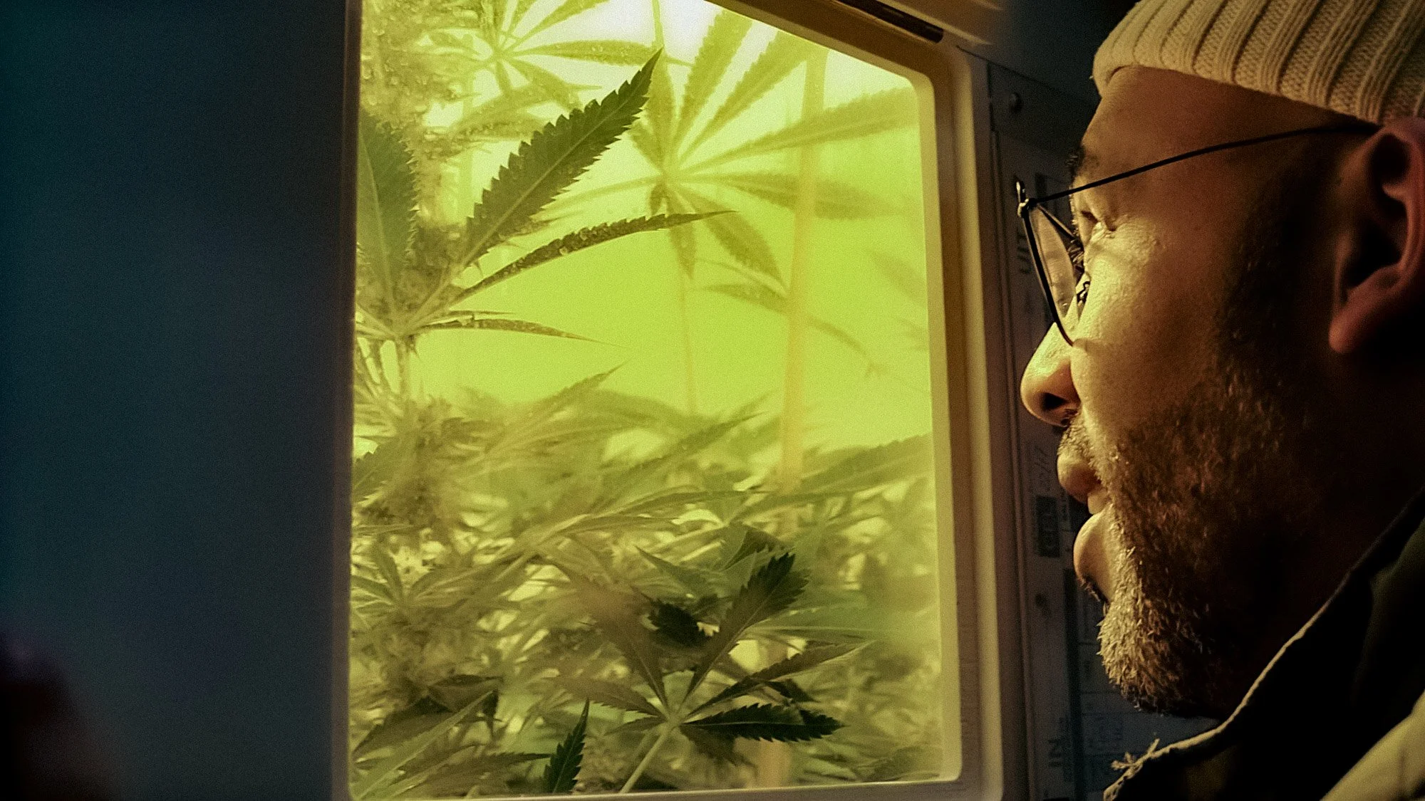 Floris Leeuwenberg-1.jpg