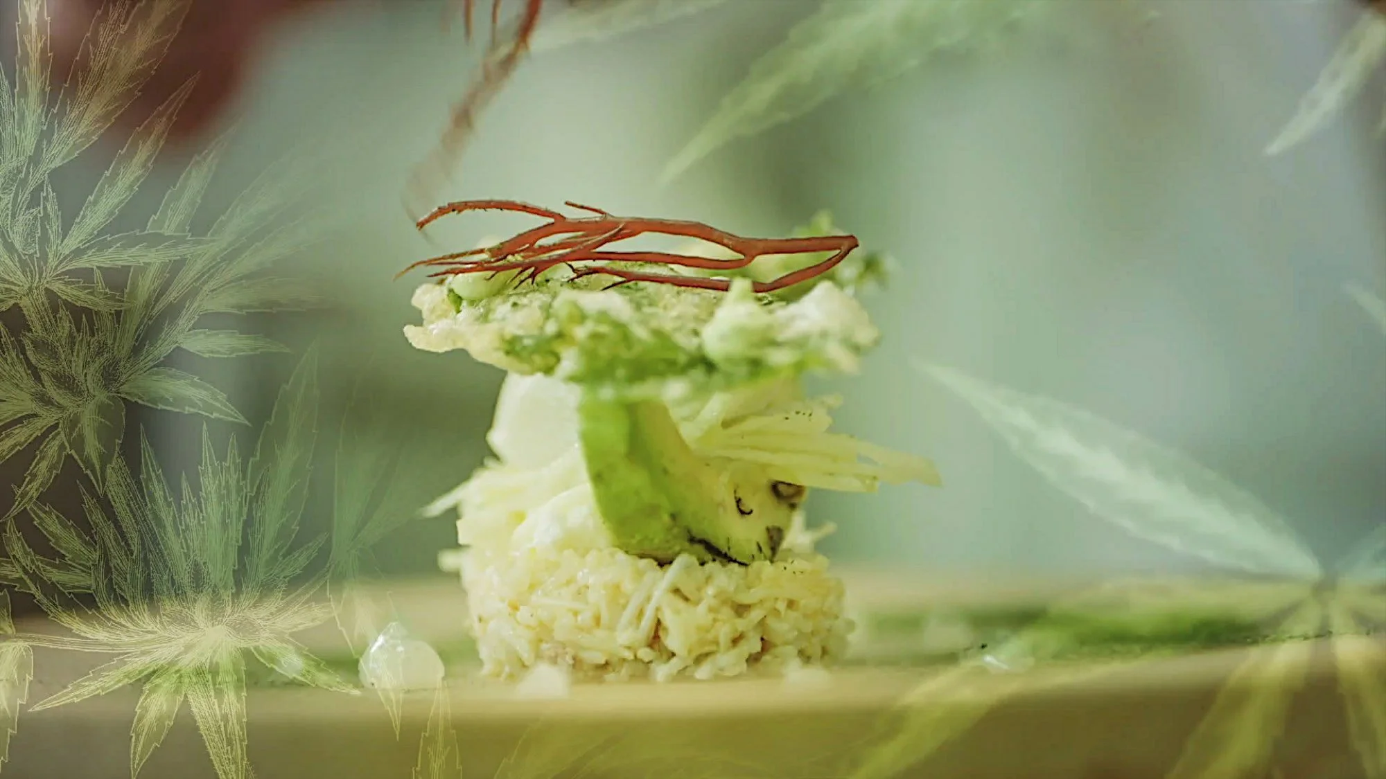 Floris Leeuwenberg-2.jpg