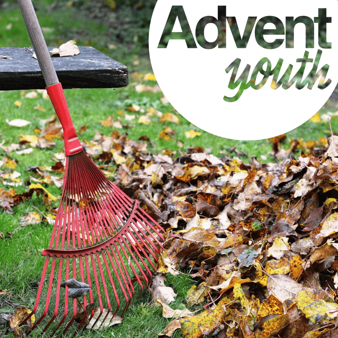 Youth Service Project - Raking Leaves